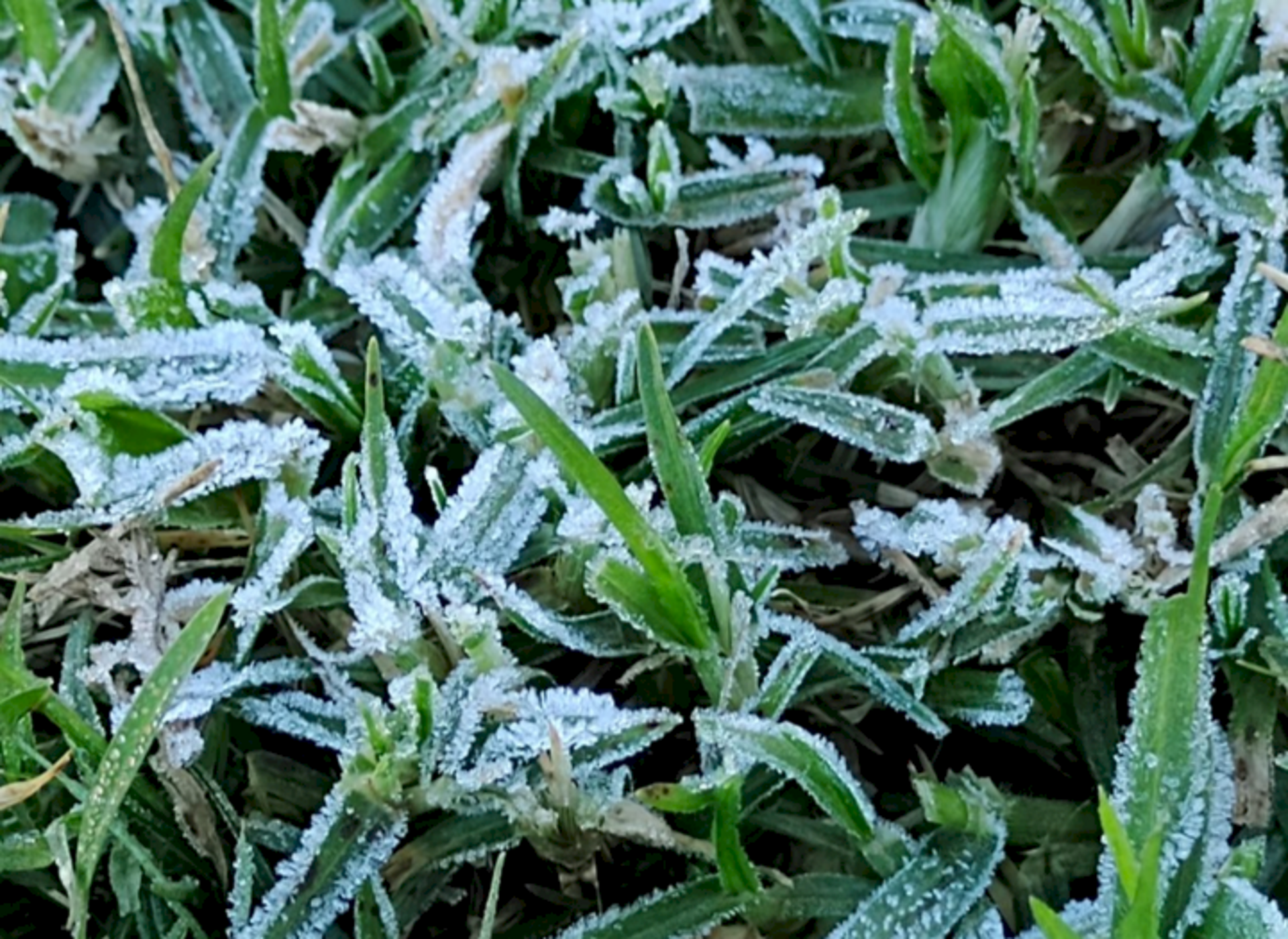 Mínima deve chegar a 0°C no sábado