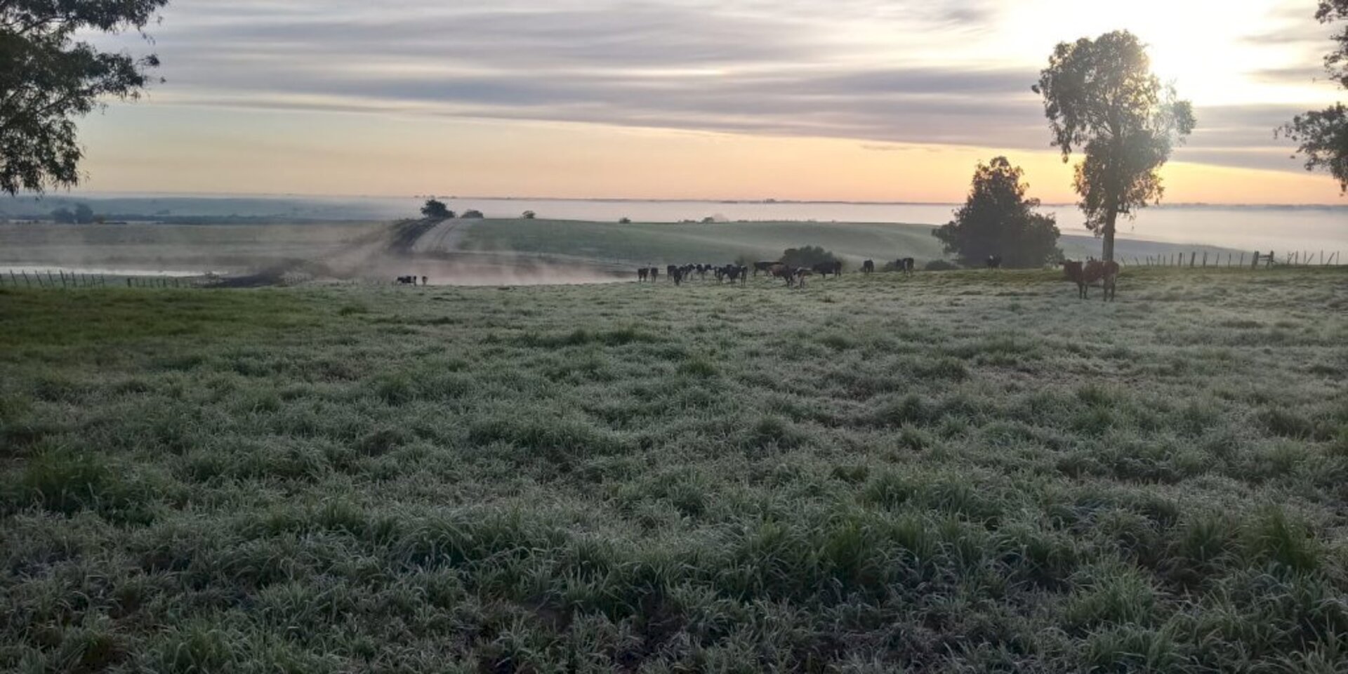 O ingresso de ar seco e frio provocará o declínio das temperaturas