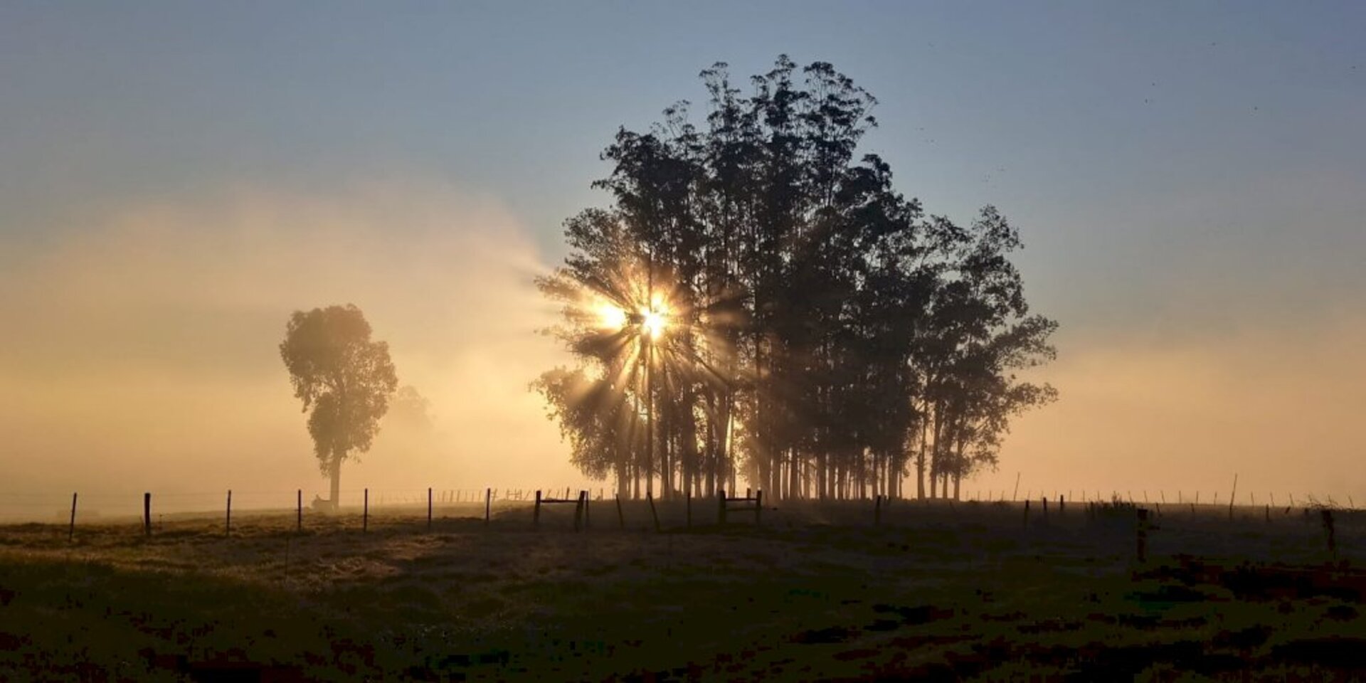 A Agropecuária foi um dos setores atingidos pela estiagem