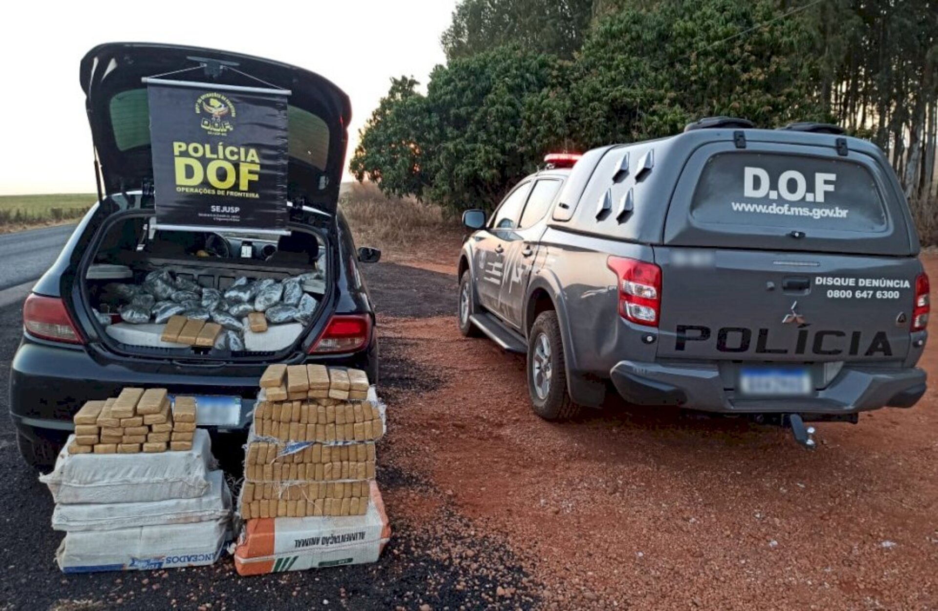 Drogas ilícitas são retiradas de circulação