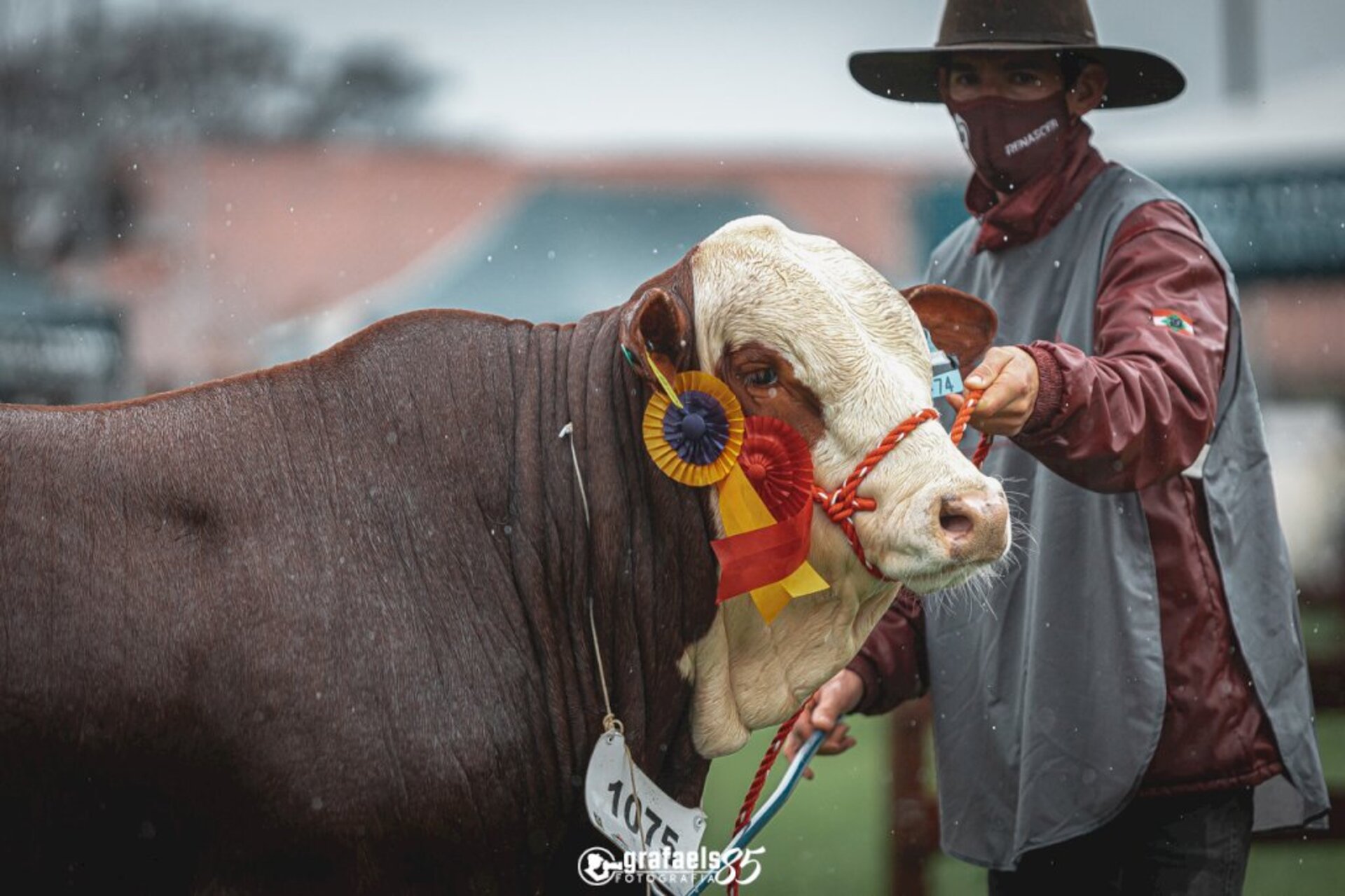 Mostra acontece no Parque Assis Brasil