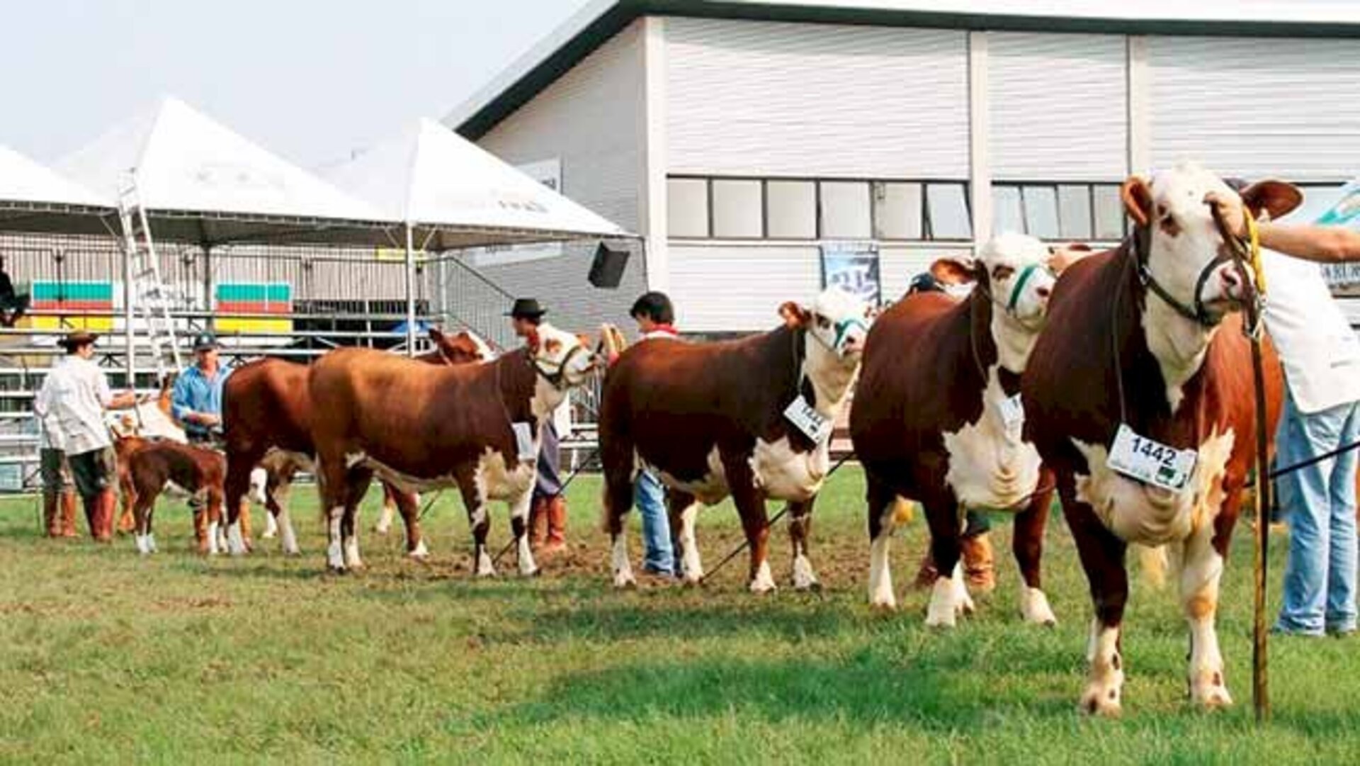 Exposição acontece no Parque Assis Brasil