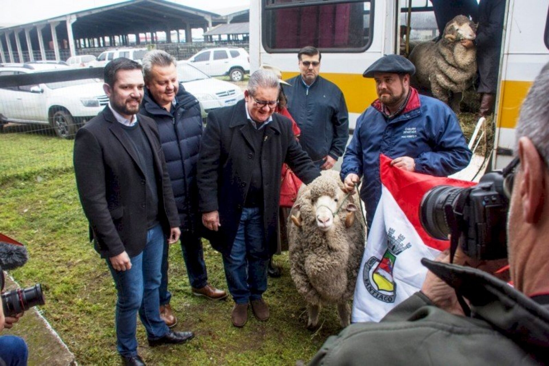 Exemplares da raça Merino Australiano foram os primeiros a chegar