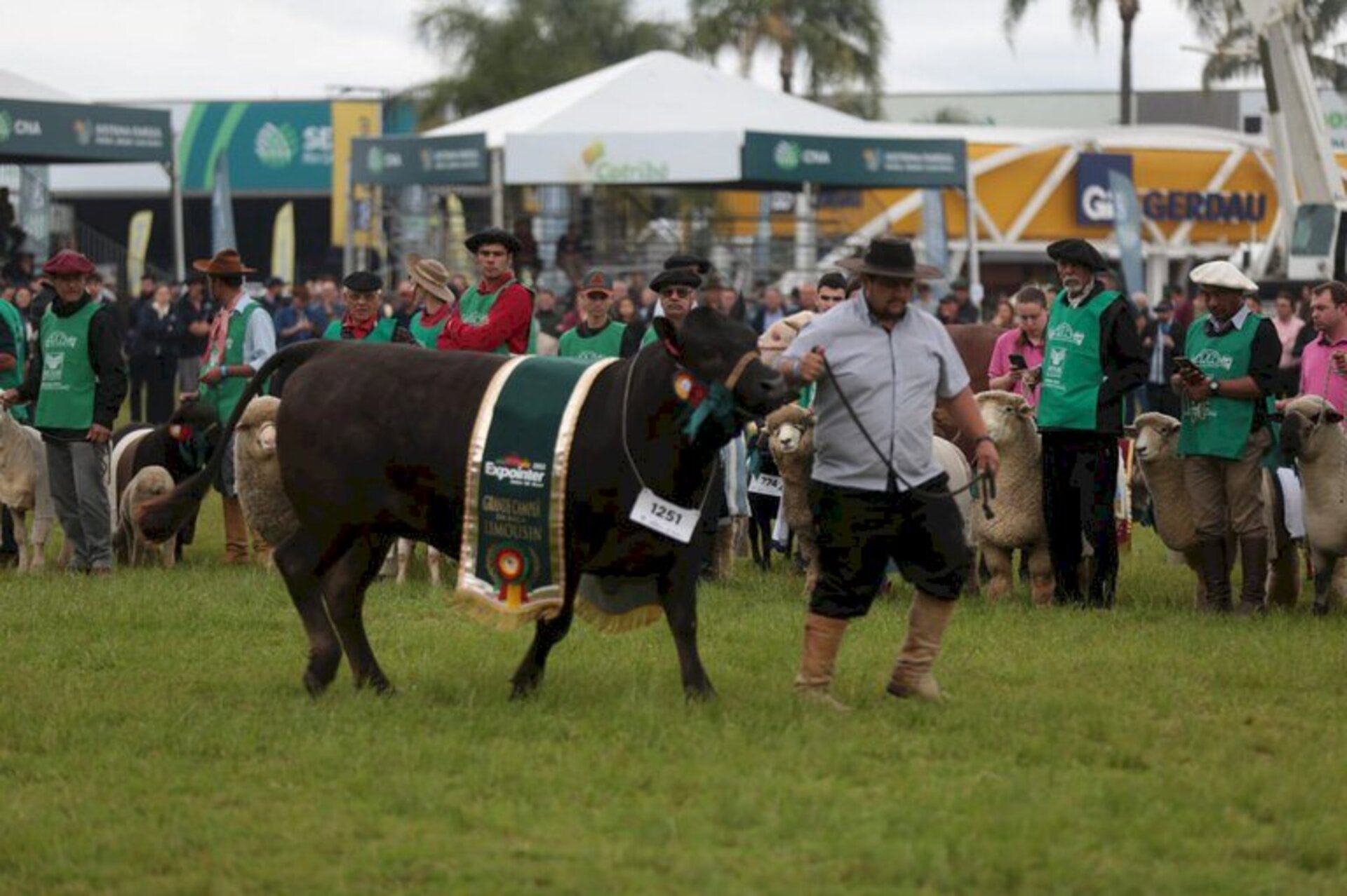 Desfile dos Grandes Campeões da Expointer ocorreu na manhã desta sexta-feira