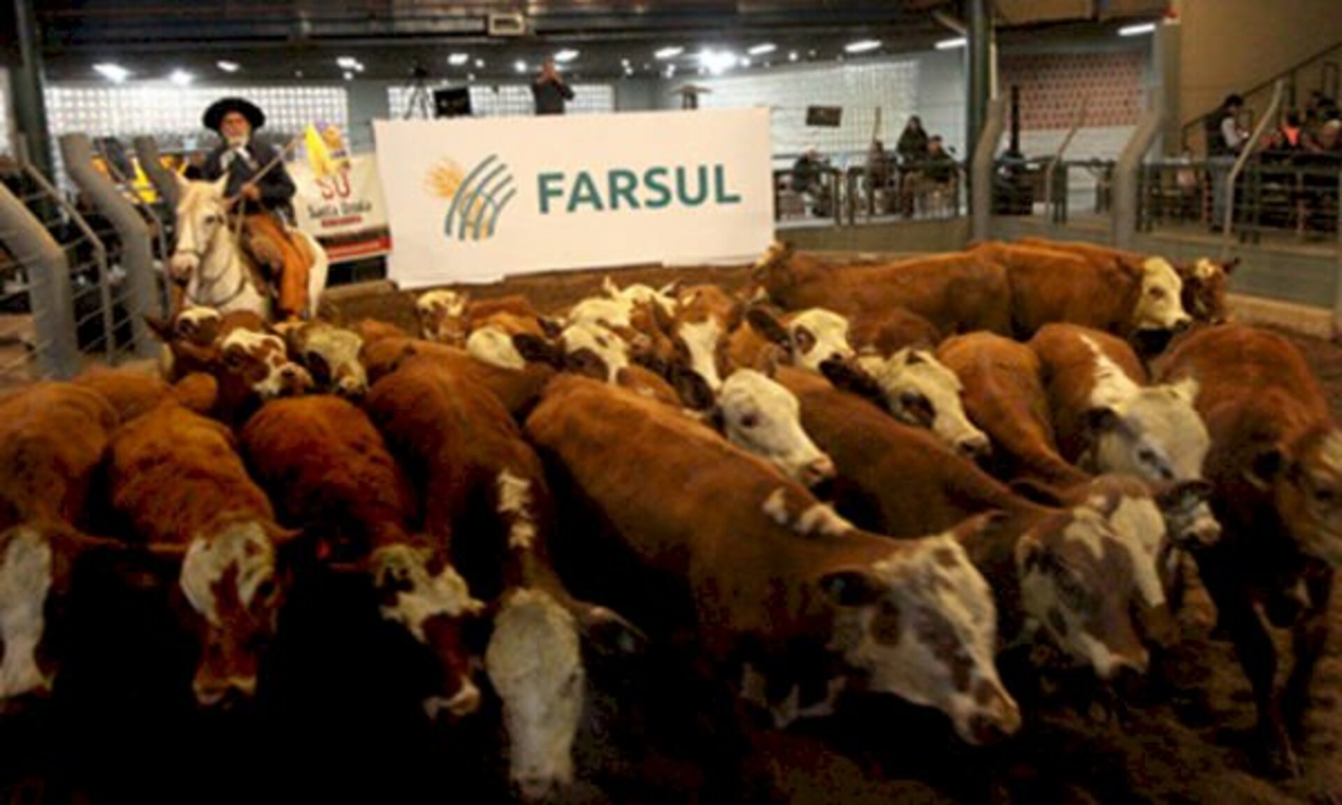 Leilão realizado durante a Expointer vendeu 415 animais