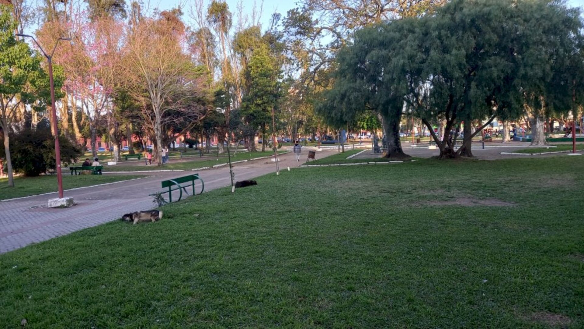 Tentativa de homicídio aconteceu no interior da praça da Estação