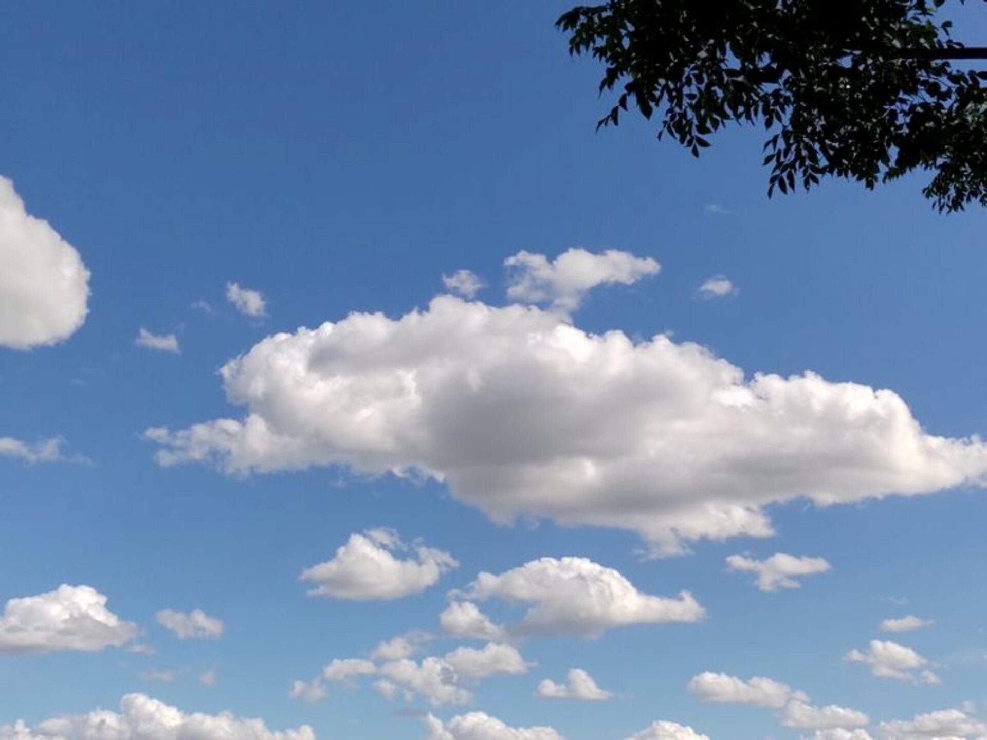 Temperaturas ficarão conforme o esperado