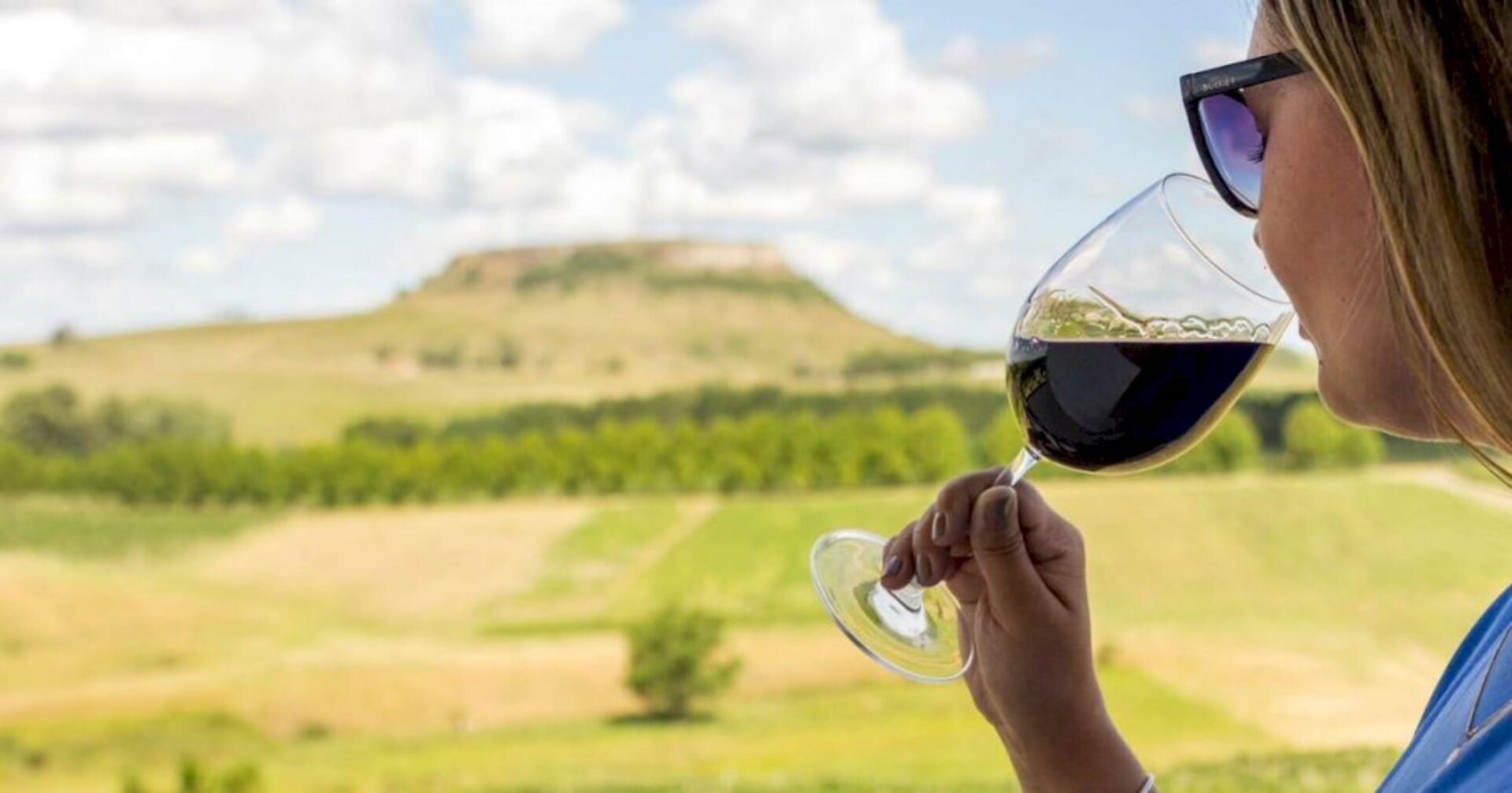 Vinho produzido no Pampa Gaúcho é um dos maiores atrativos