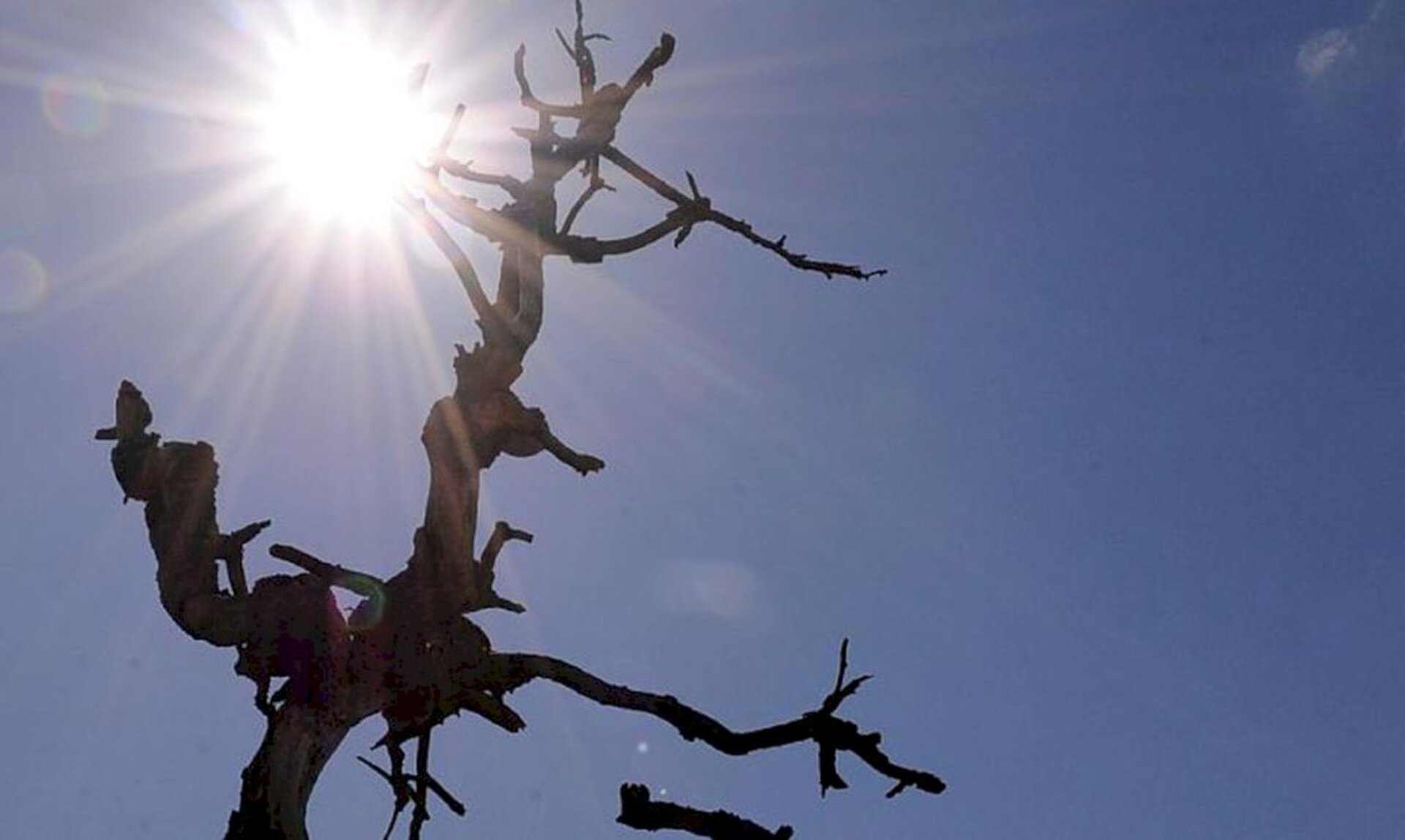 Estação vai até o dia 20 de março de 2023