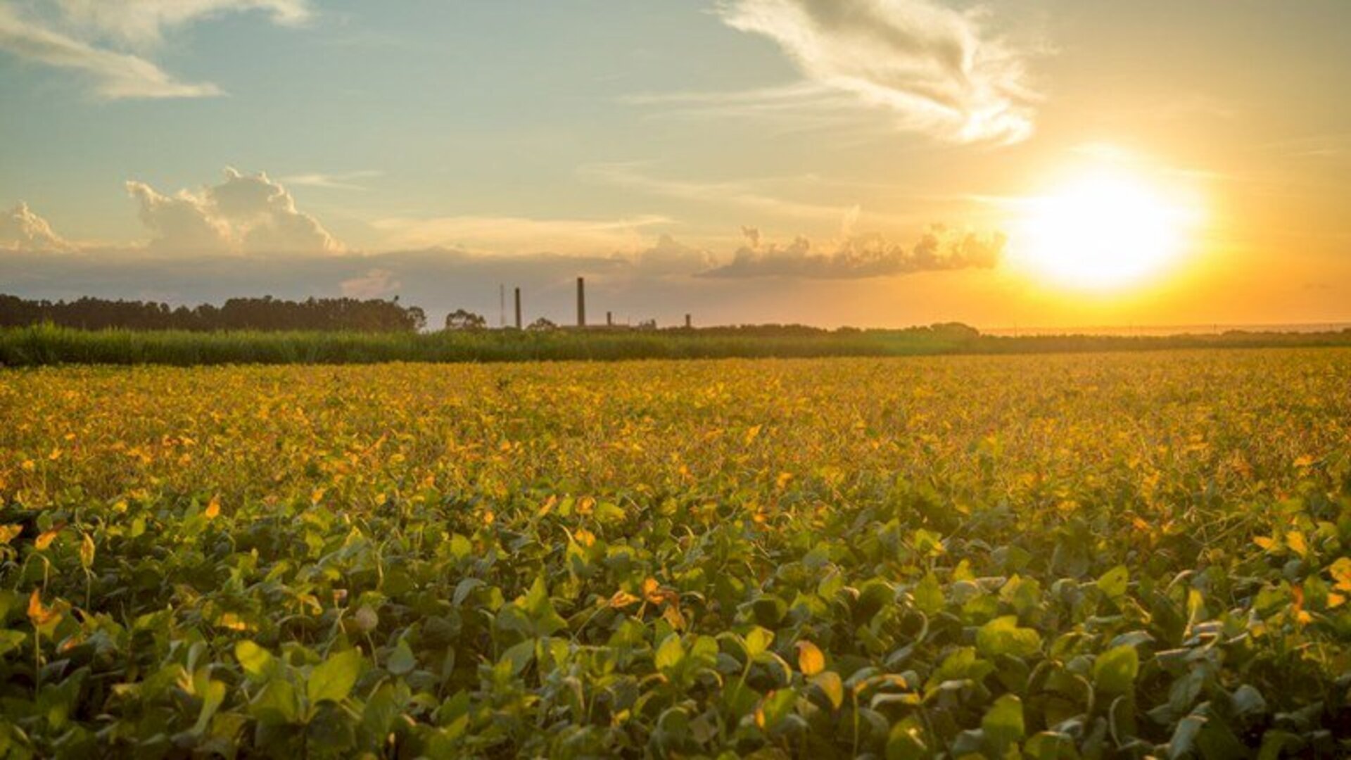 Período reflete o aumento da temperatura em todo país