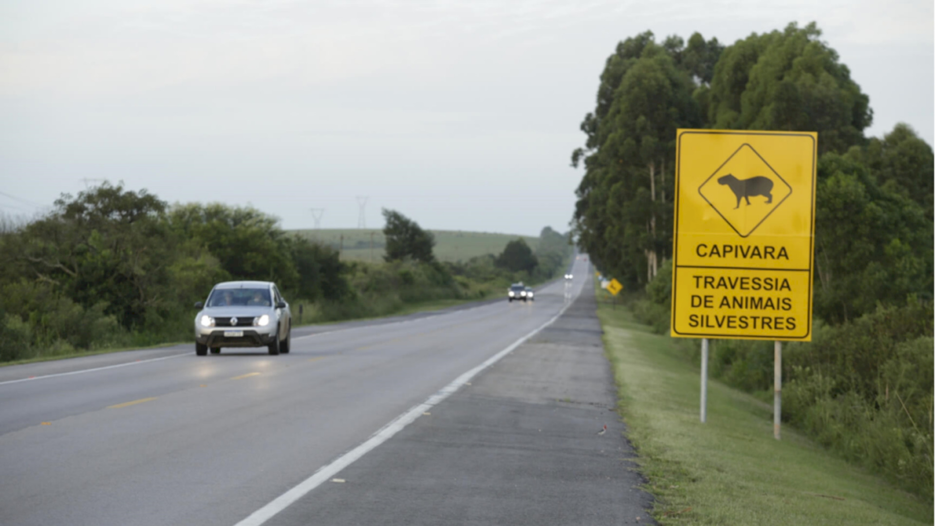 diversas ações para dar suporte aos motoristas