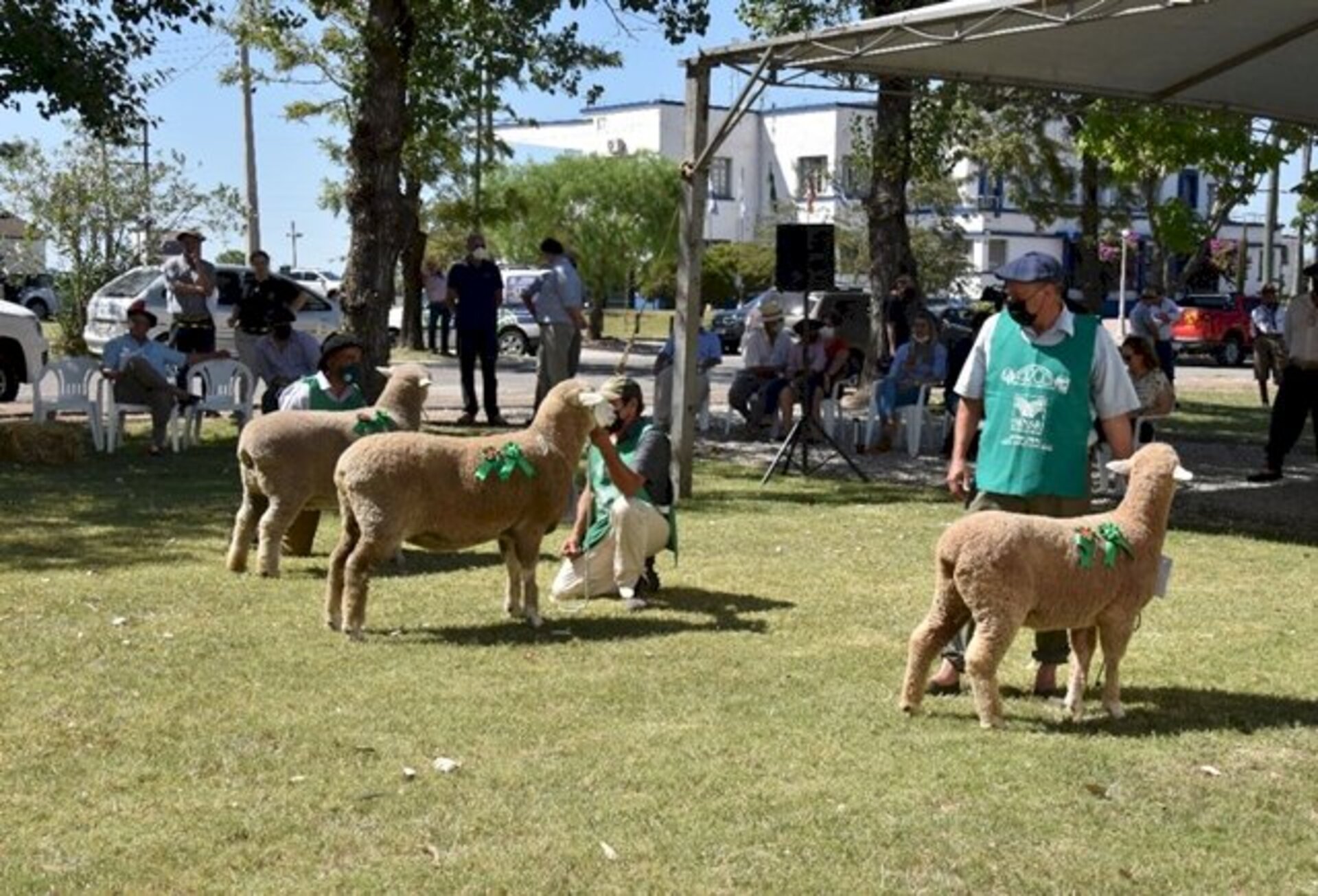 Feira acontece no Parque Visconde de Ribeiro Magalhães