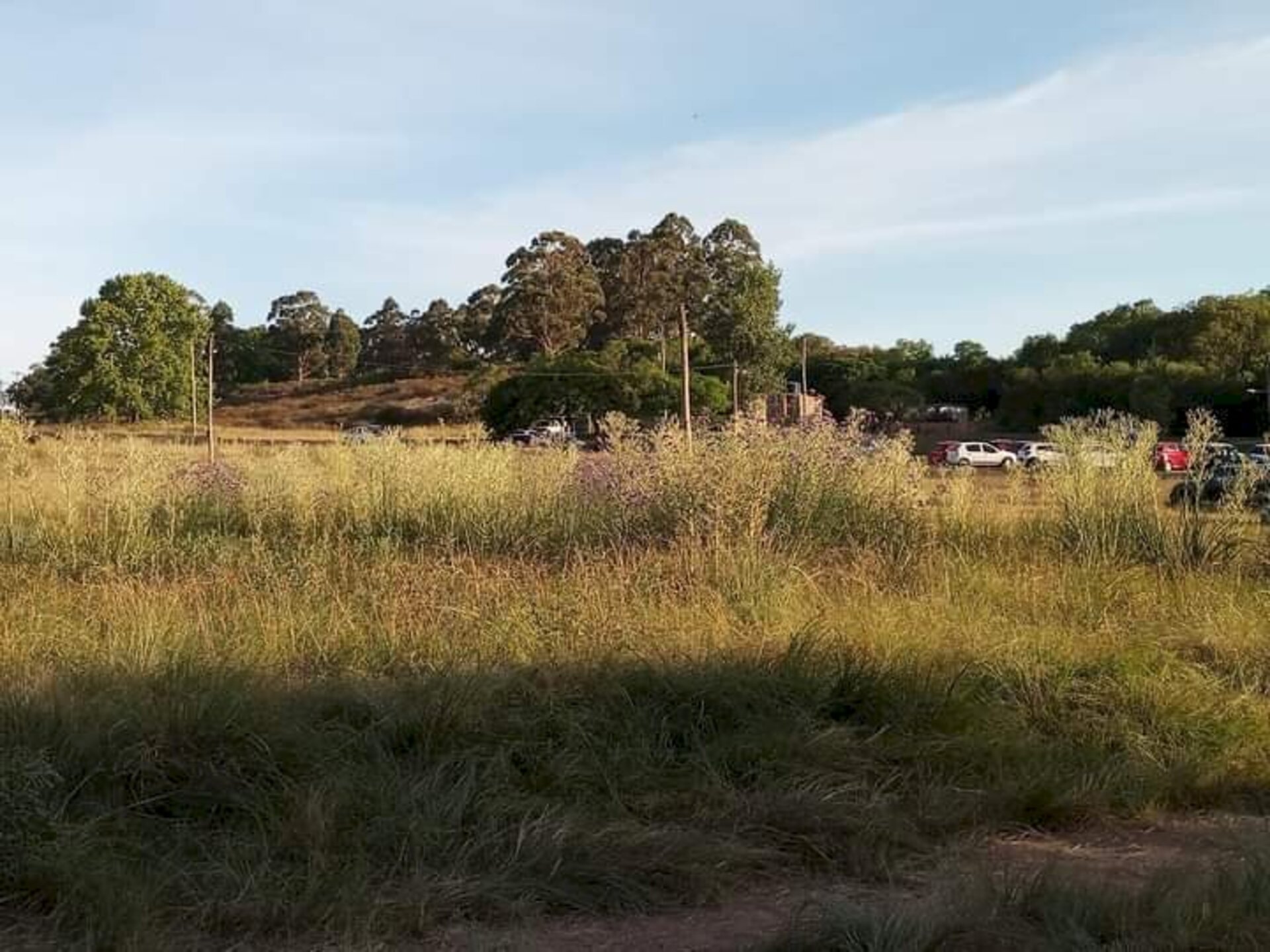 Local fica no município de Hulha Negra