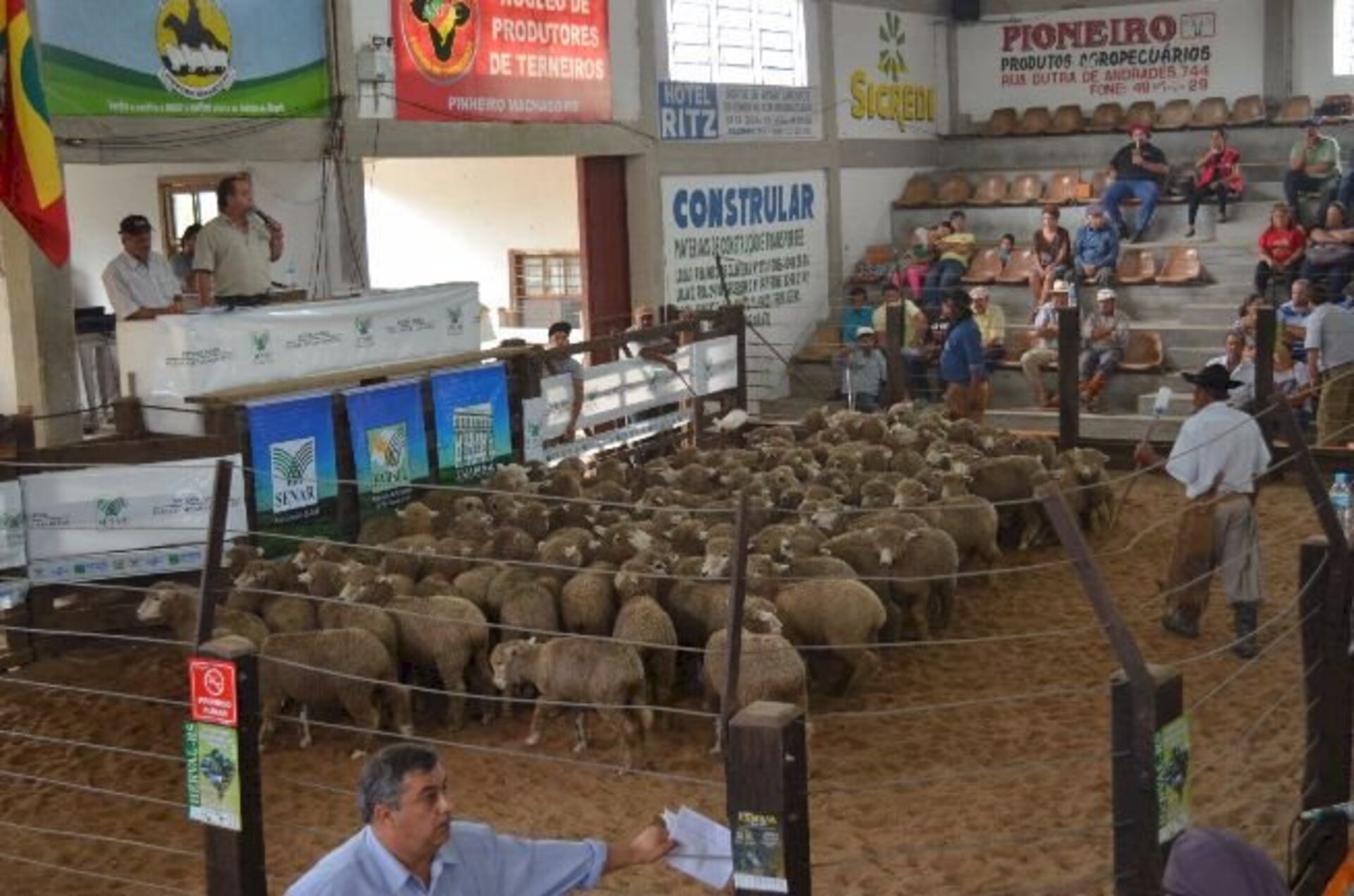 Remates colocam em pista a qualidade do que é produzido na região