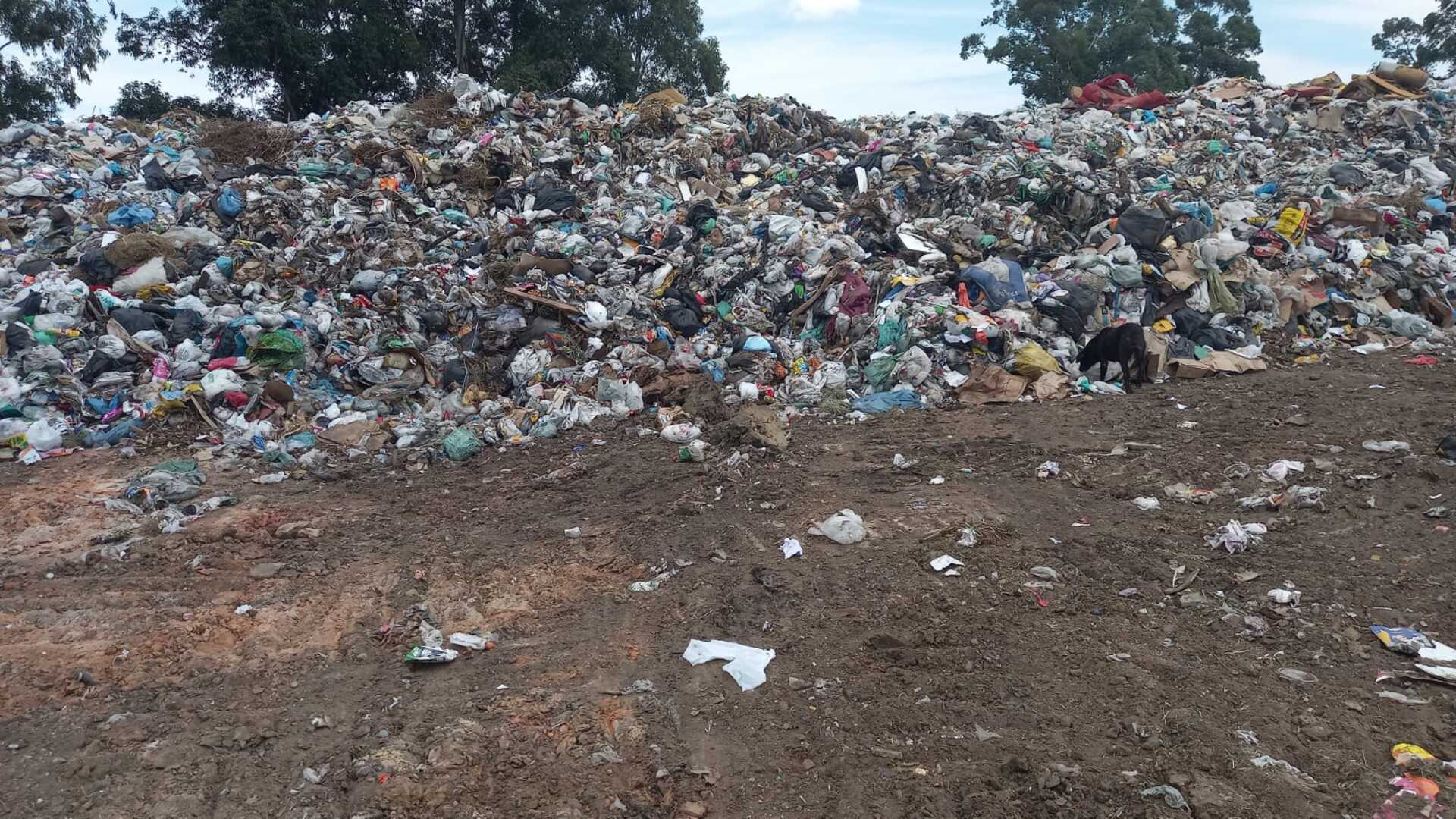 Lixo acumulado é transportado para Candiota