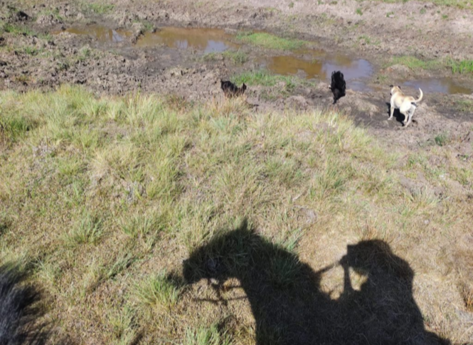 Campos e lavouras são castigados pela seca