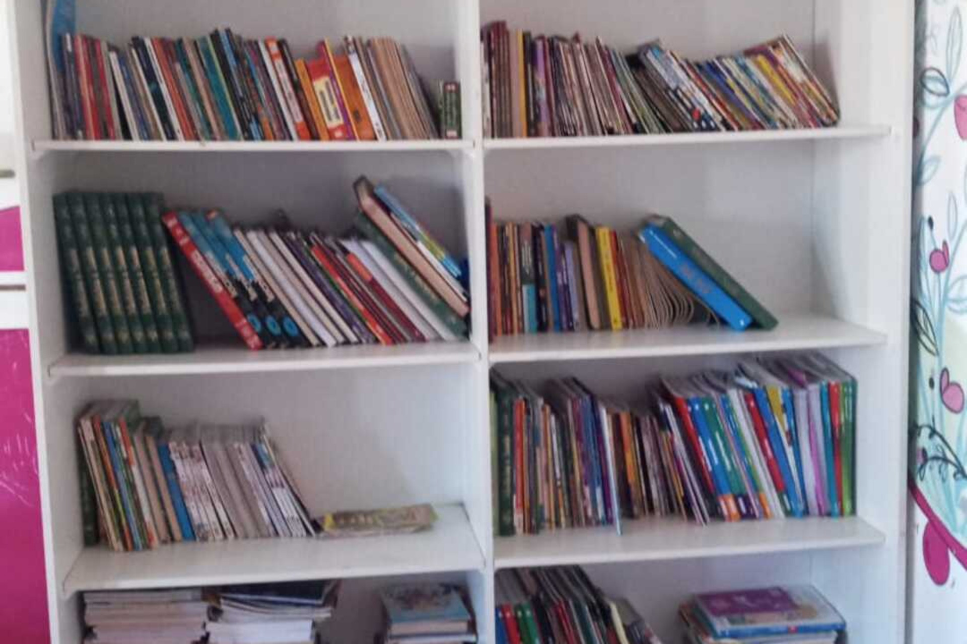 Estante da Casa da Menina já está "recheada"