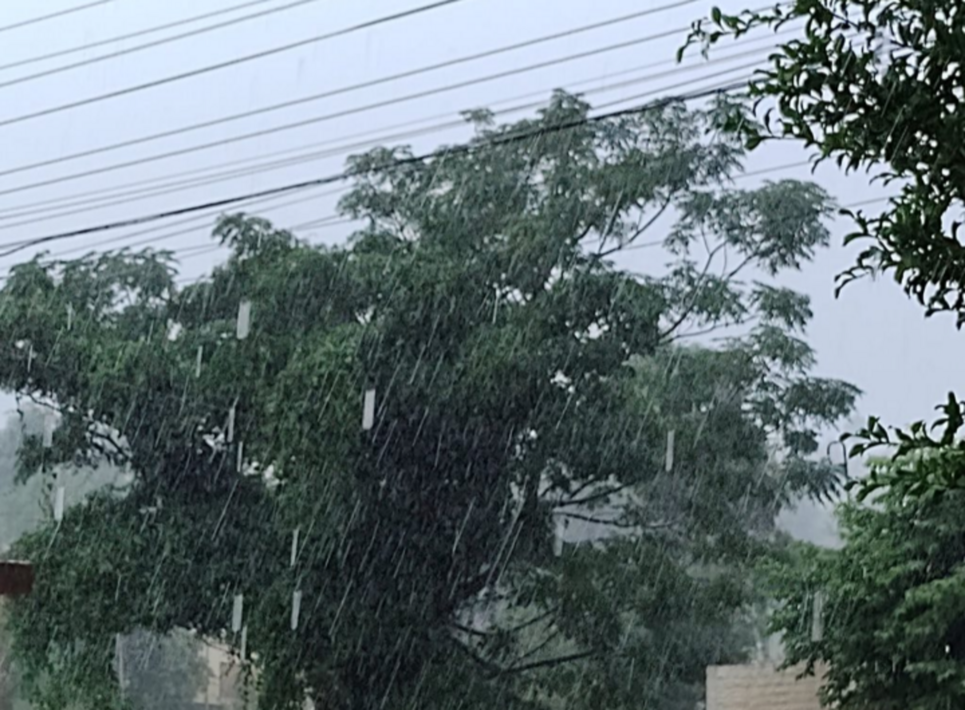 Bagé registrou bastante chuva no início da tarde de sexta