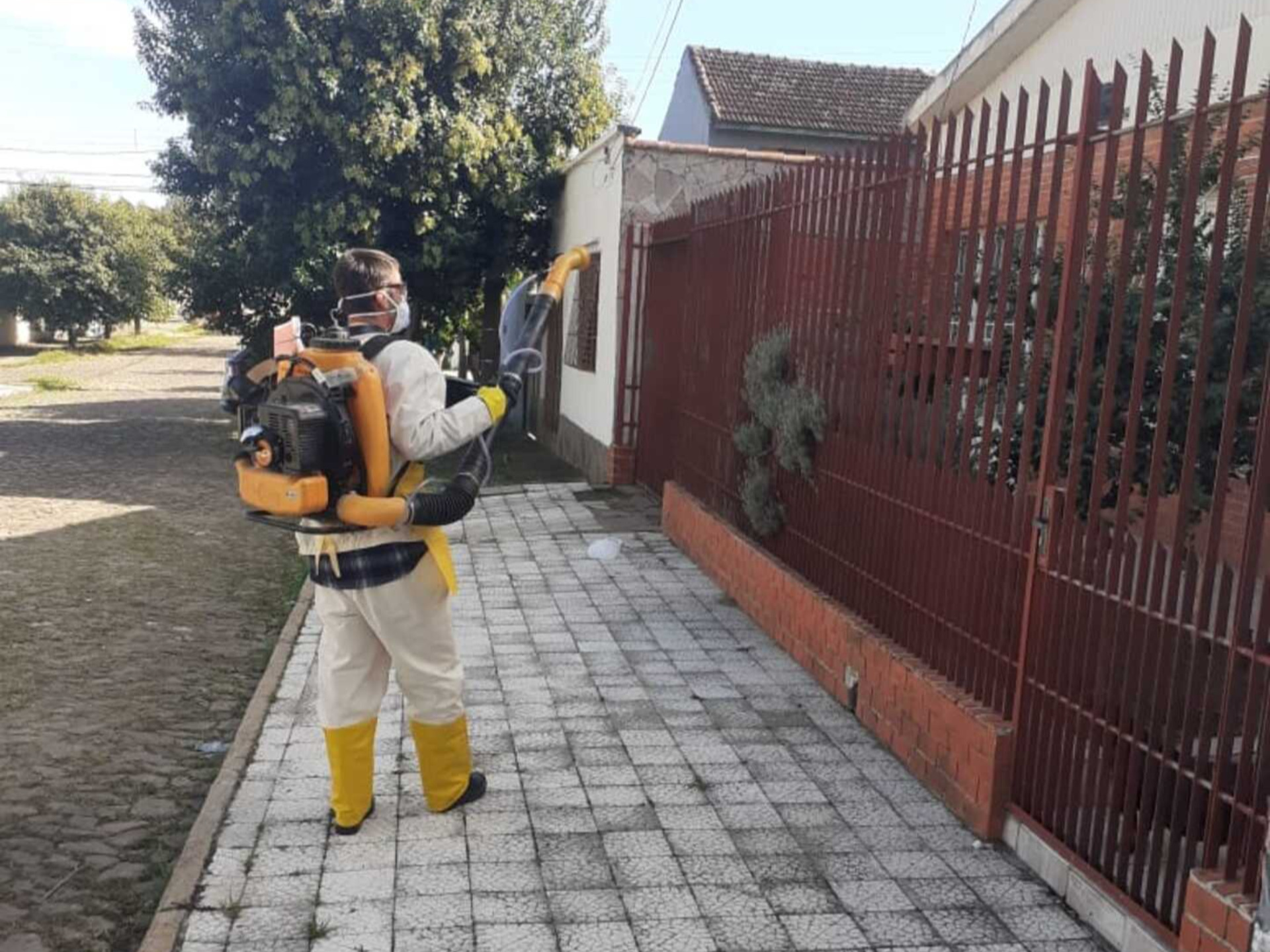 Aplicação do fumacê já ocorreu