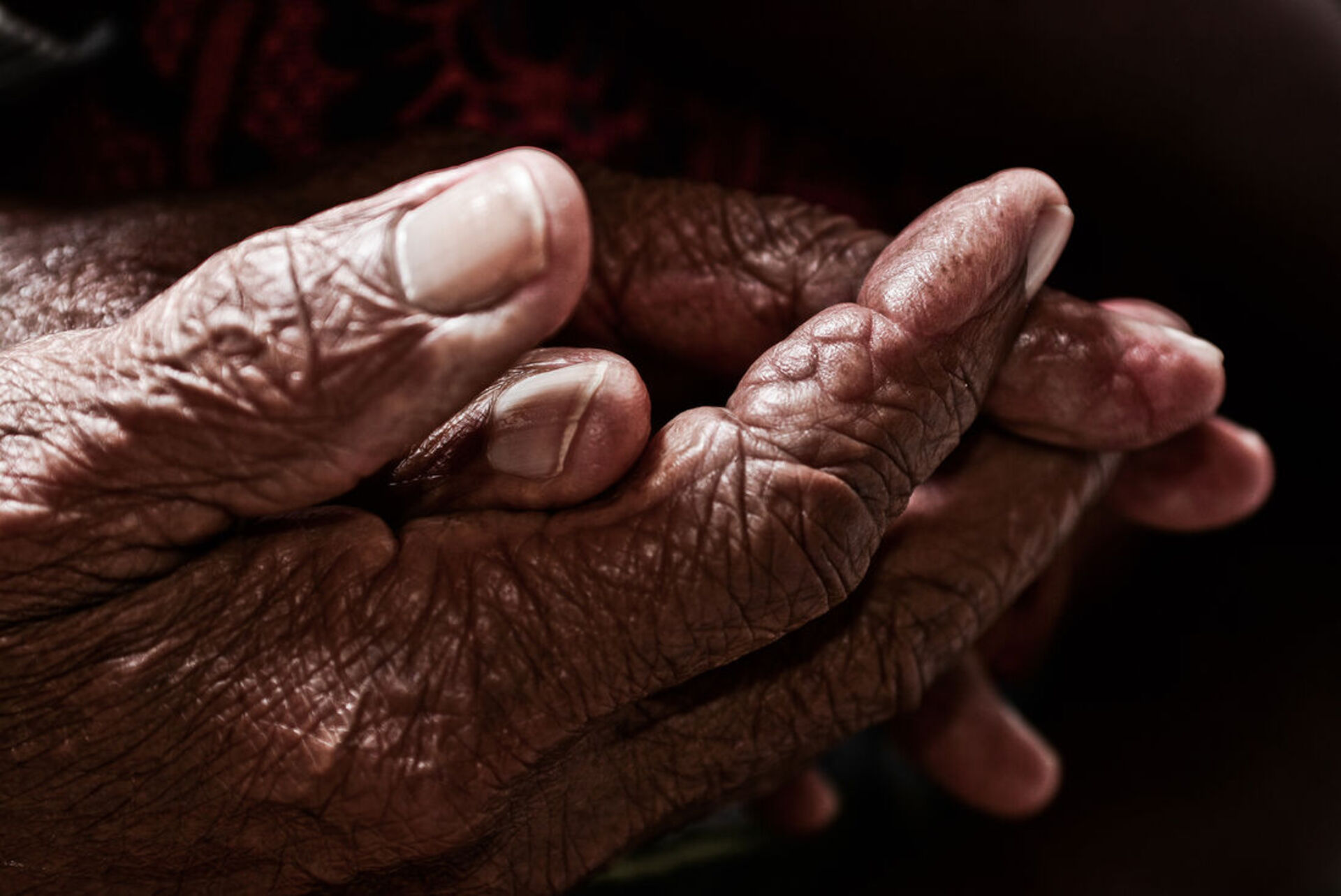 Aumento é de casos de violência psicológica, segundo coordenadora do Centro do idosos