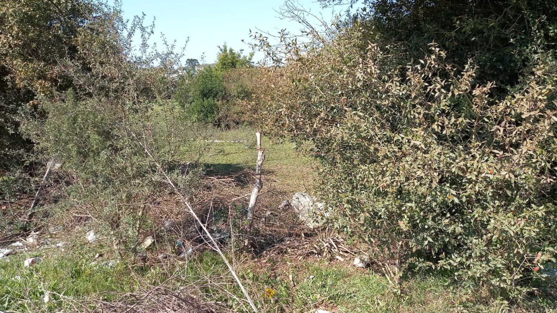 OAB Barro Preto - Corpo é encontrado no bairro Floresta