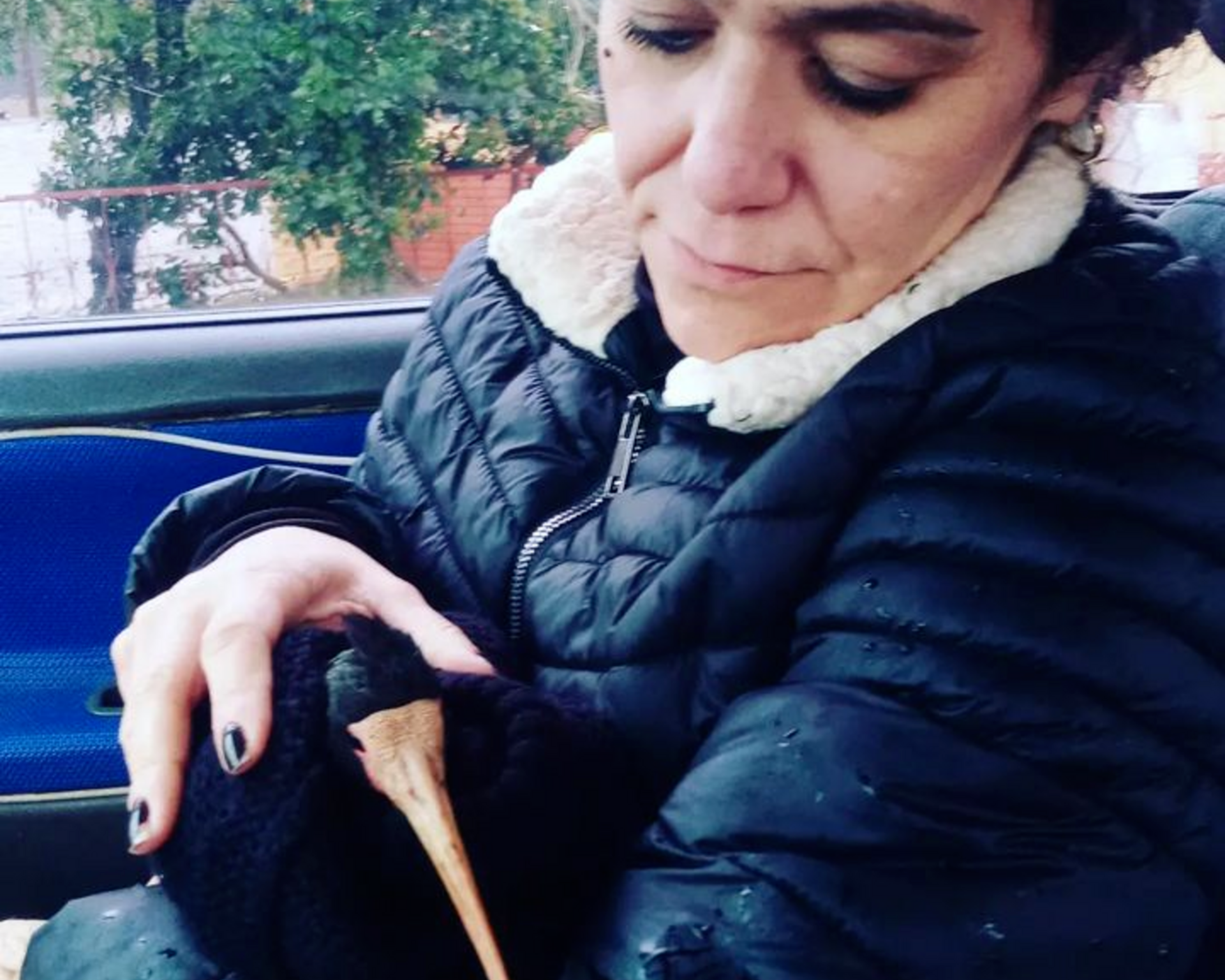 Patrícia com um maçarico que está recebendo vários cuidados