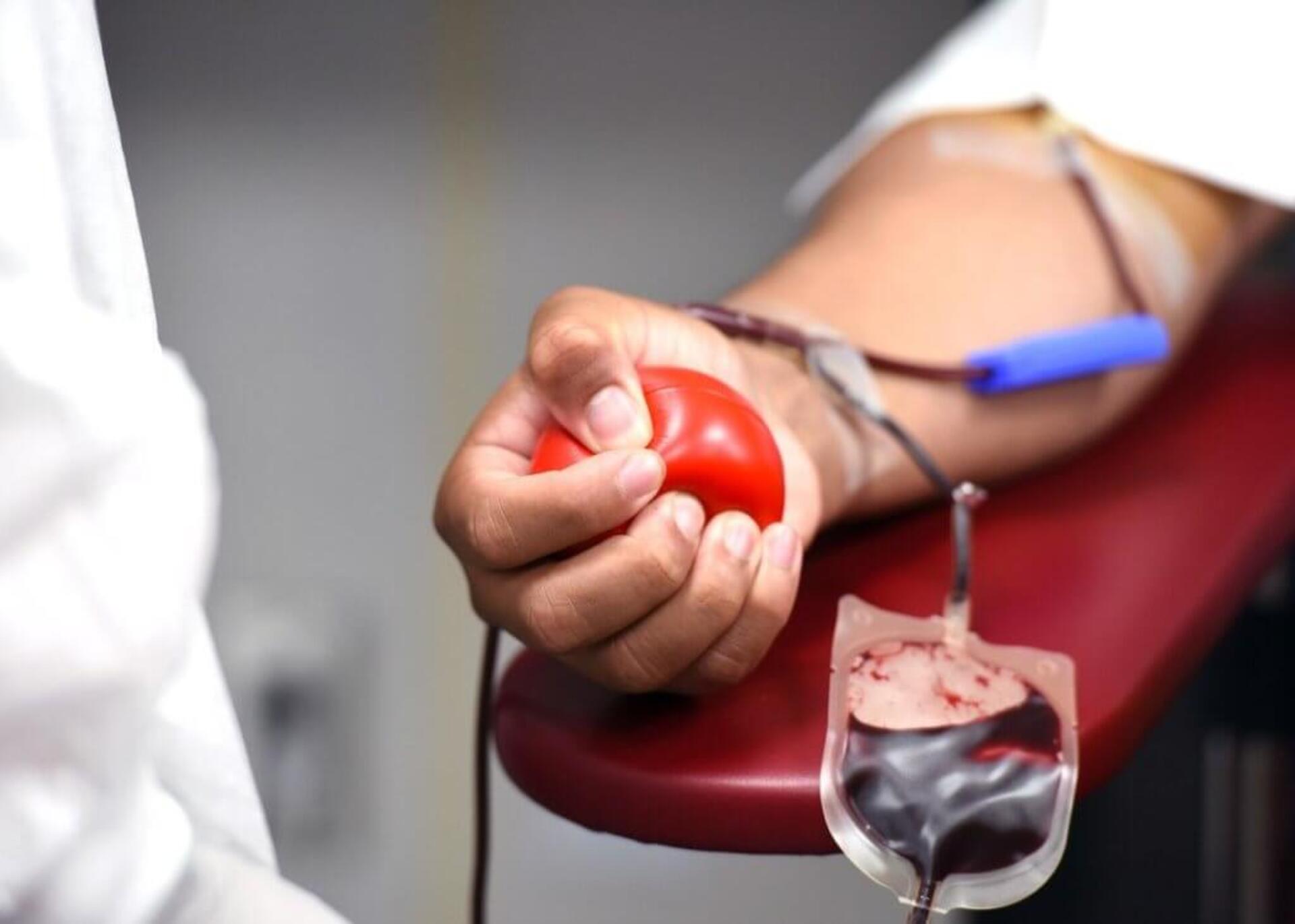 Vinte e cinco de novembro é o Dia Nacional do Doador de Sangue
