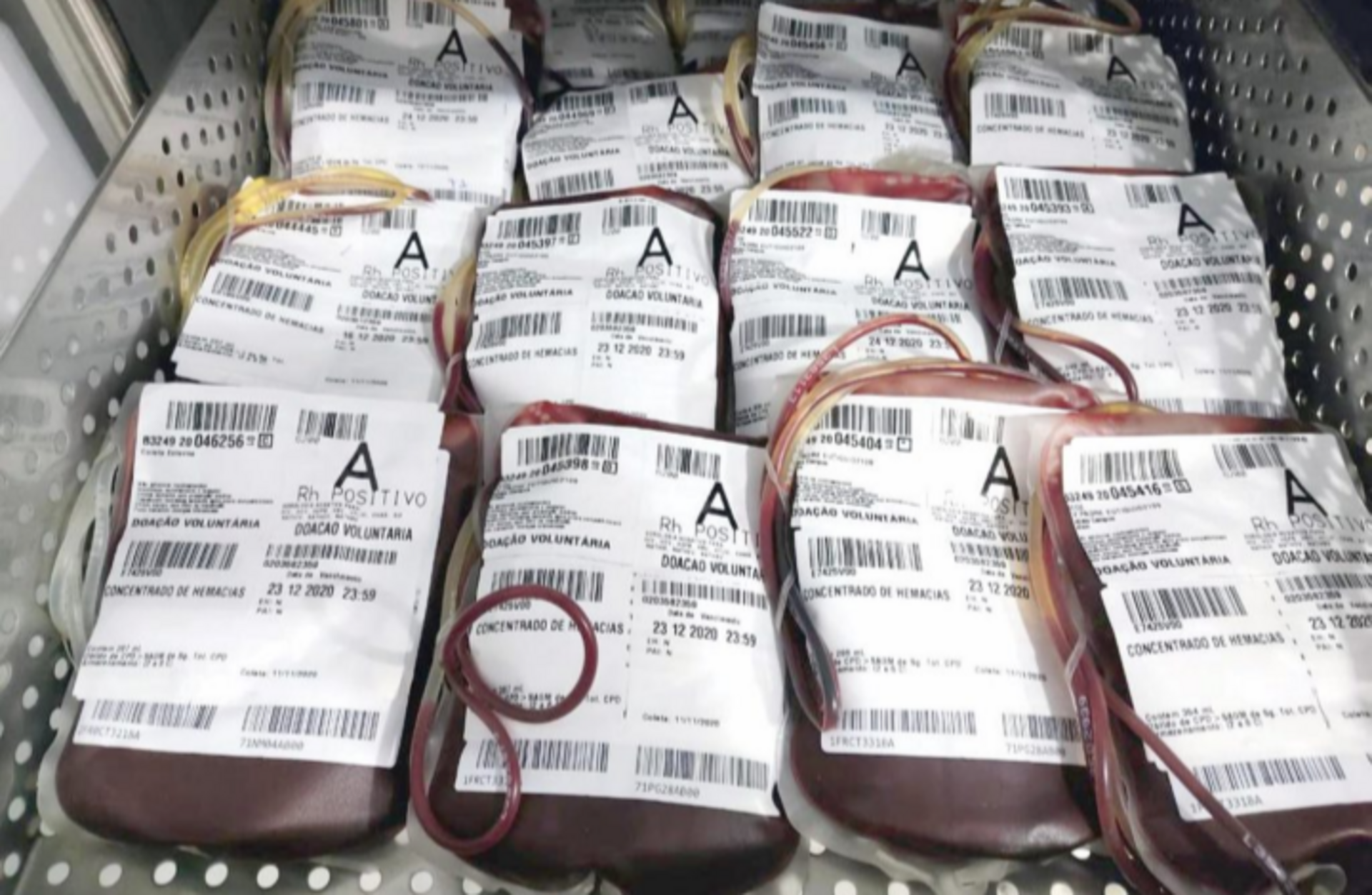 Expectativa é coletar até 100 bolsas de sangue