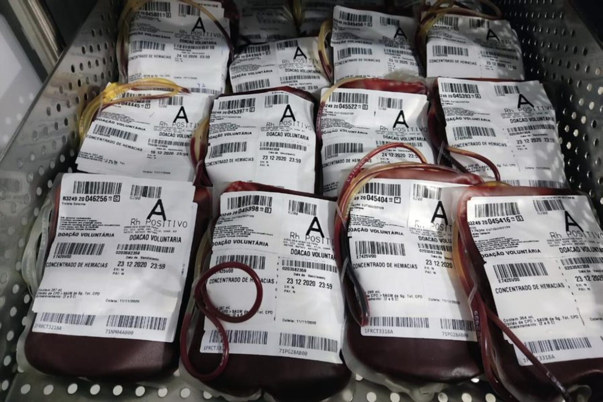 Sangue A positivo e O negativo são prioridade no hemocentro de Pelotas