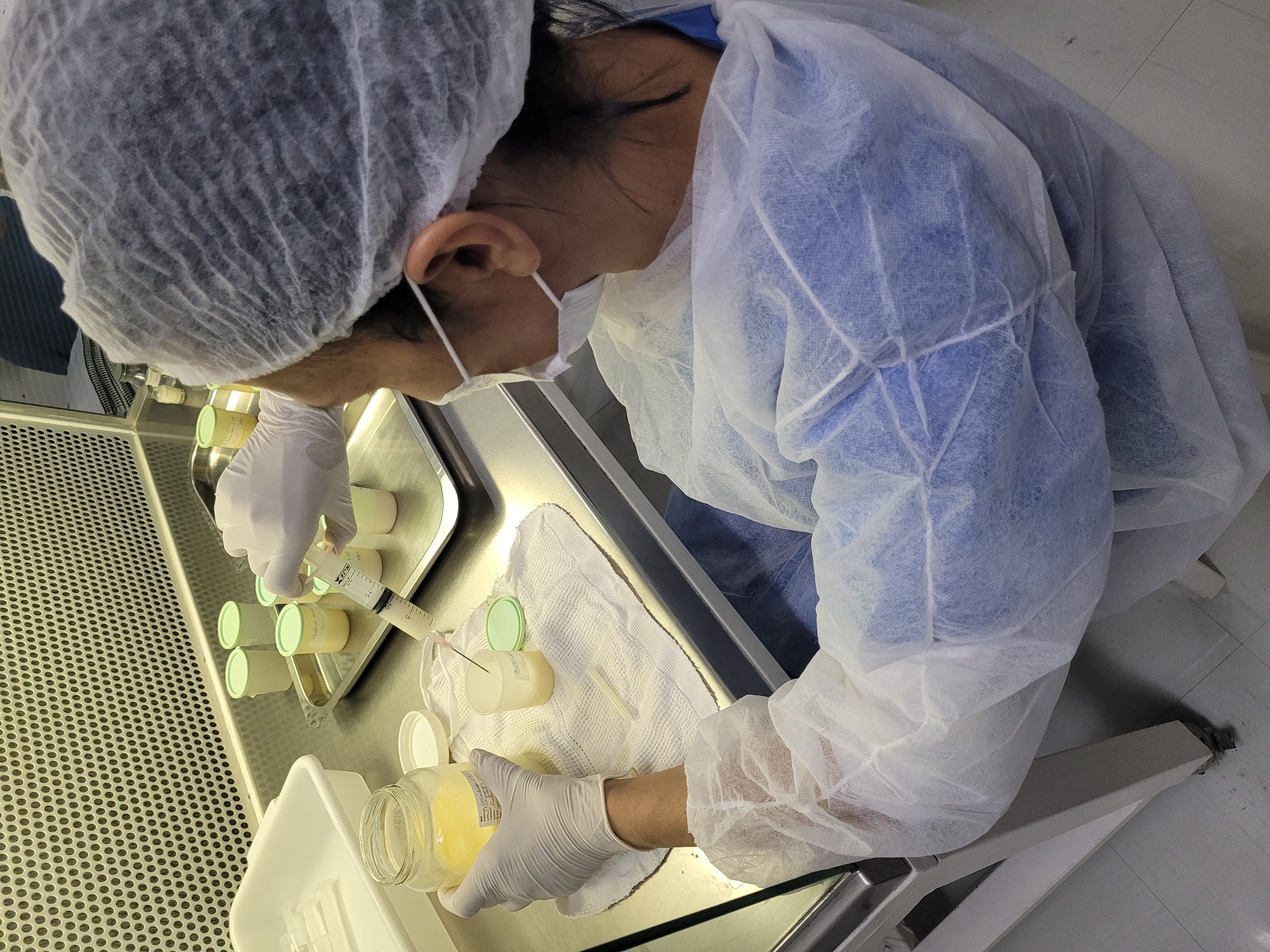 No BLH, o alimento passa por análises e pasteurização