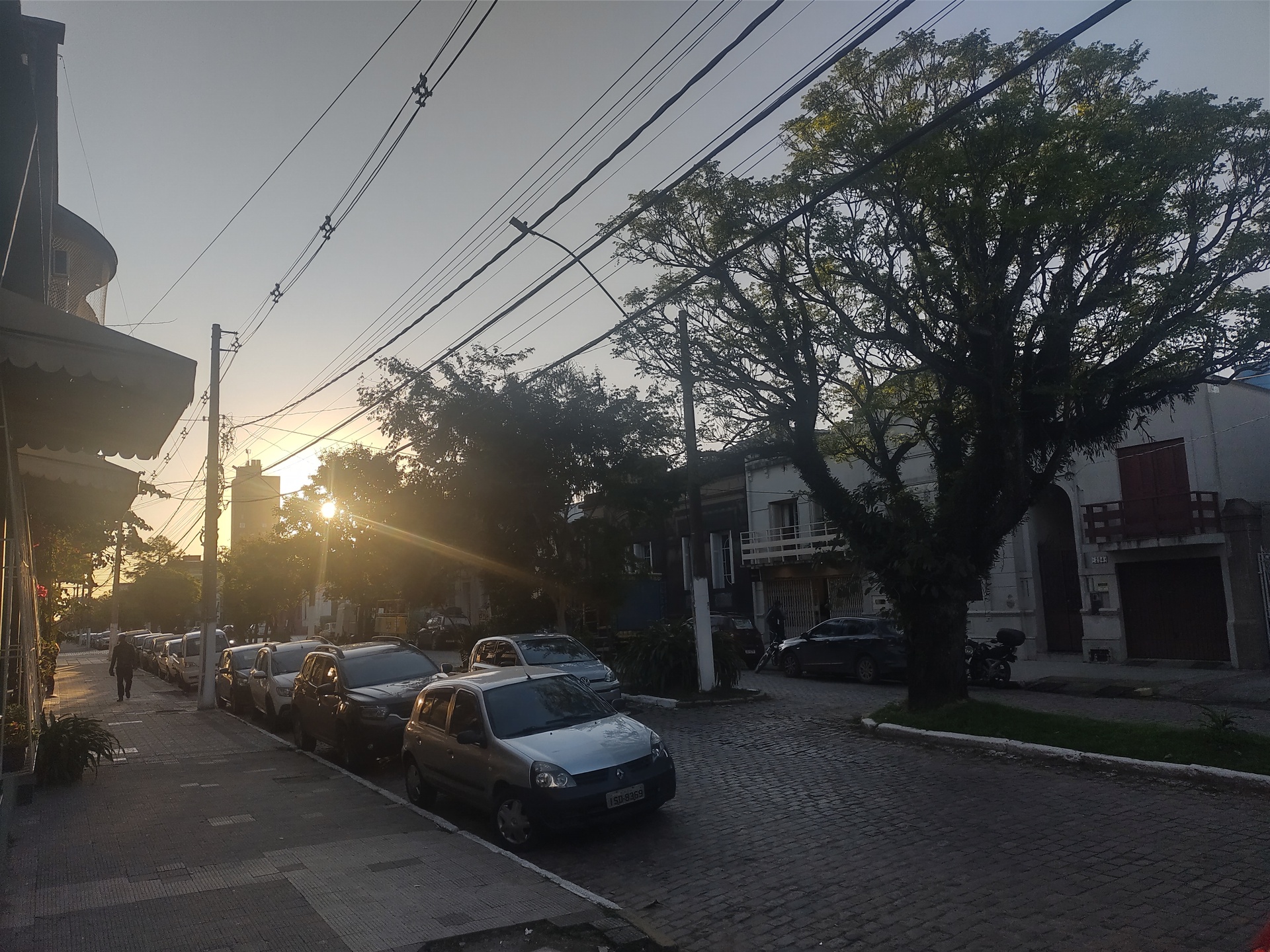 Últimos dias foram de sol na Campanha gaúcha