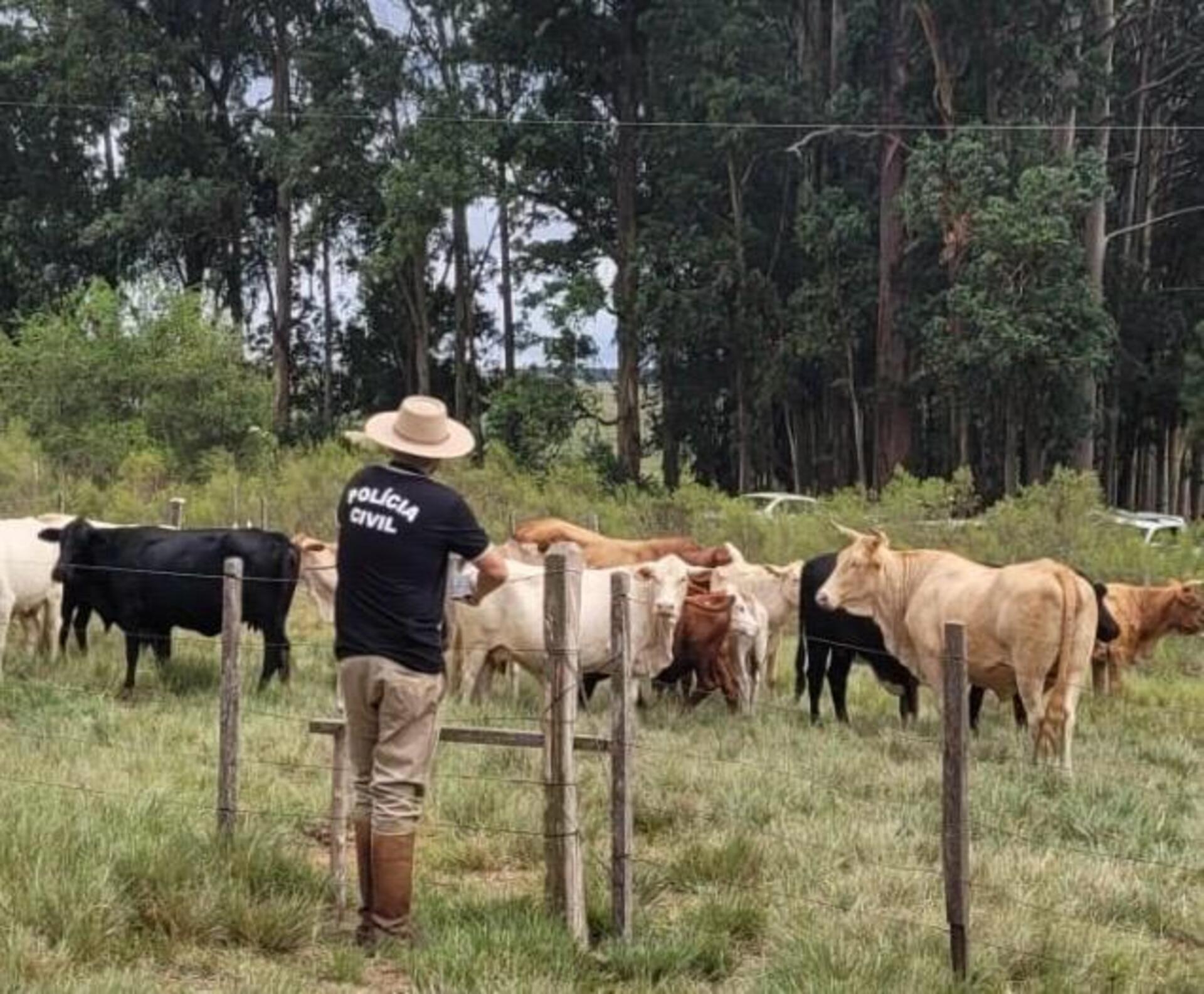 OAB Barro Preto - Homem não apresenta documentos e animais são apreendidos