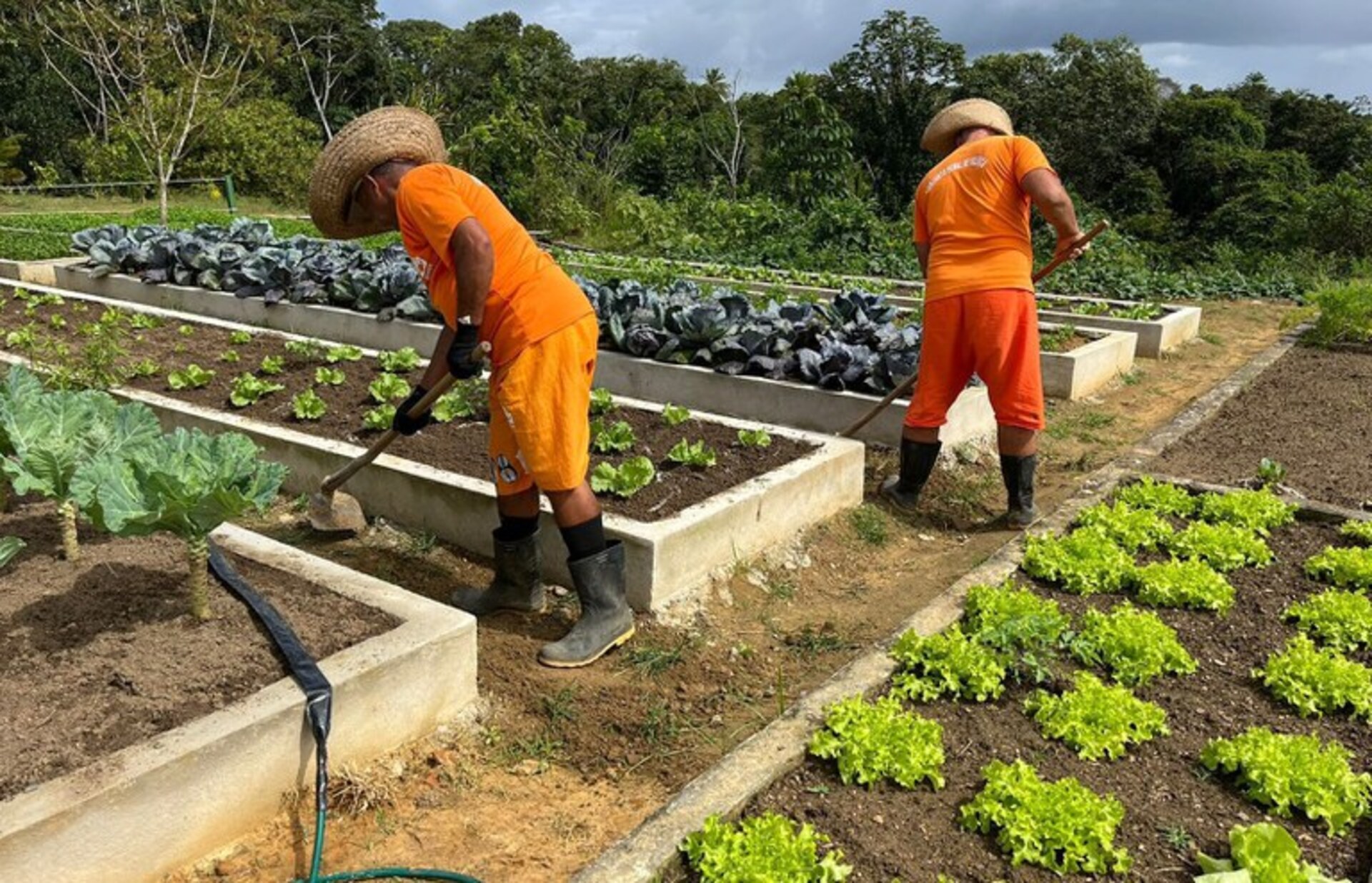 OAB Barro Preto - Fábricas produtivas nos presídios receberam R$ 21 milhões