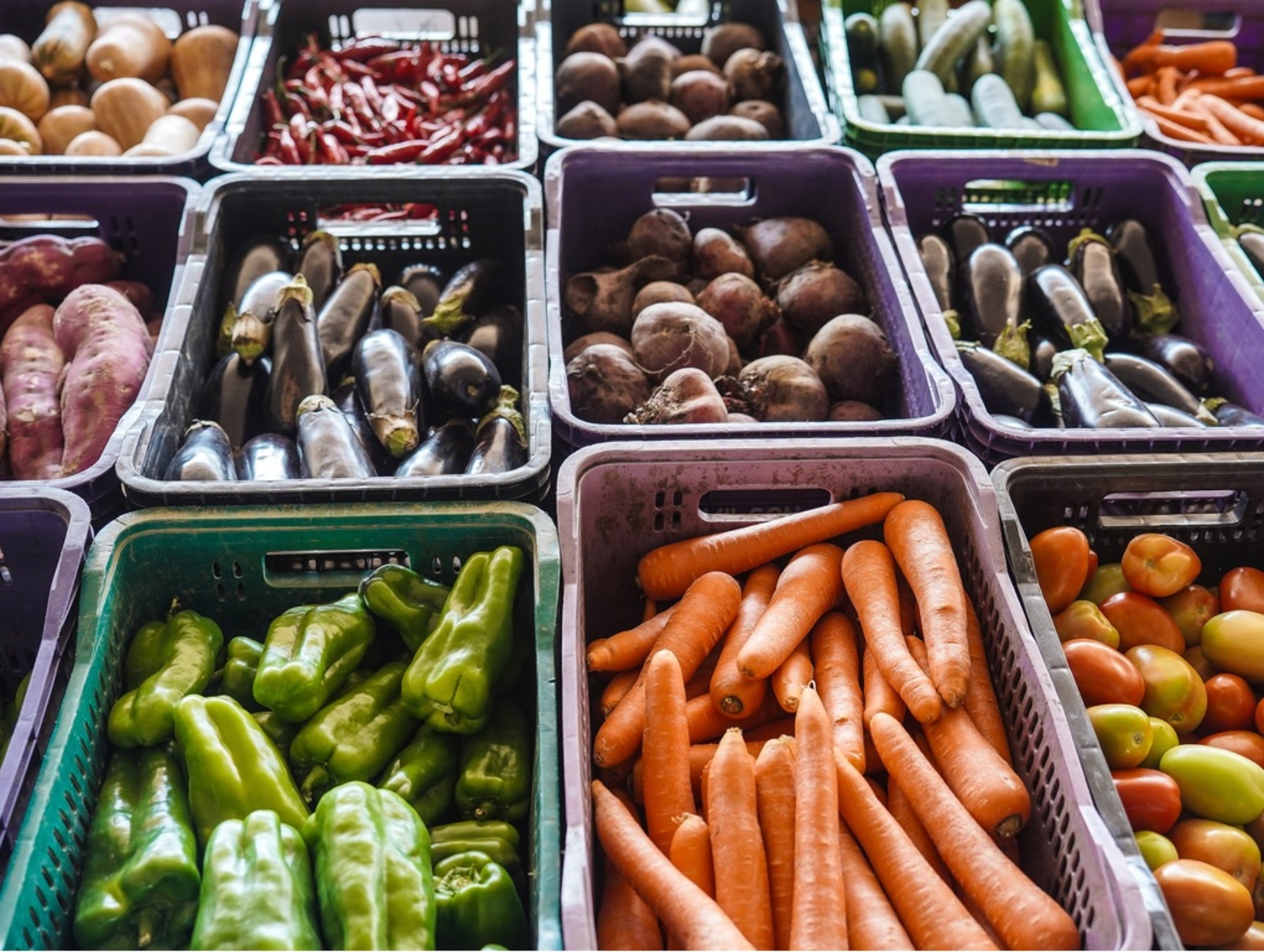 Procura por frutas é maior nesses períodos