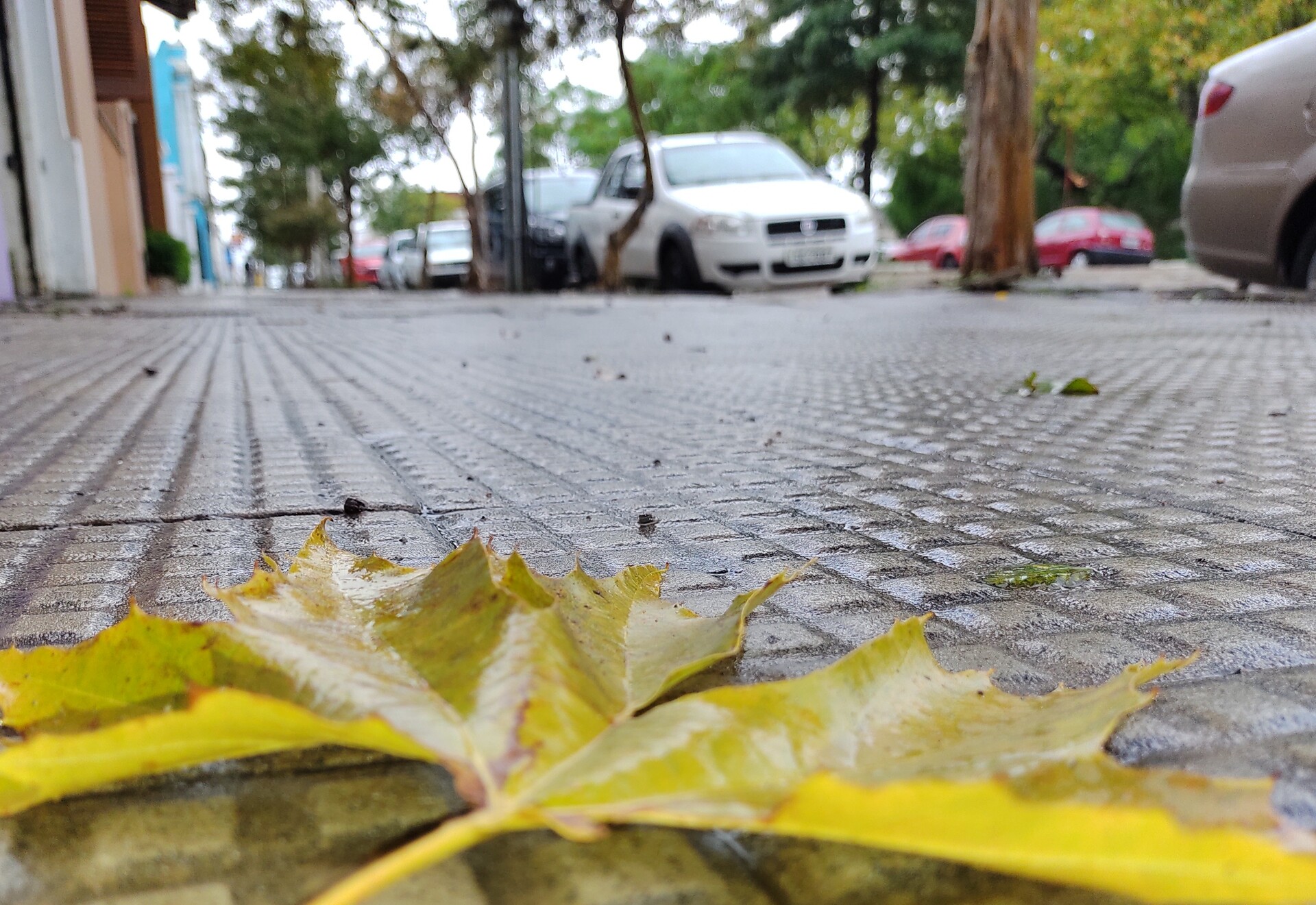 Prognóstico é de chuva para os próximos dias
