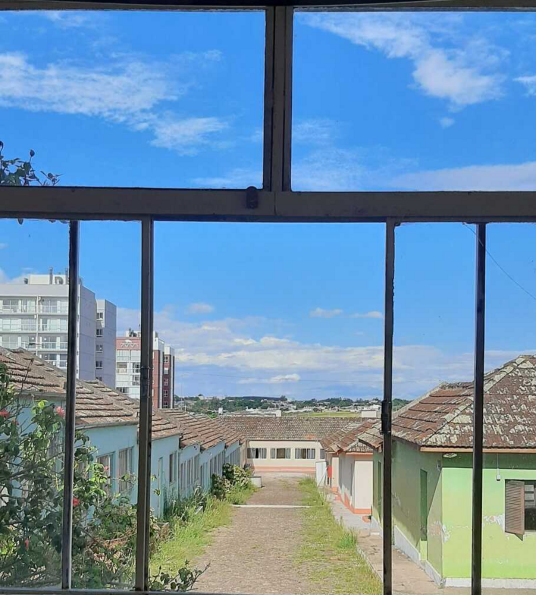 Próxima edição será no dia 15 de março, um sábado