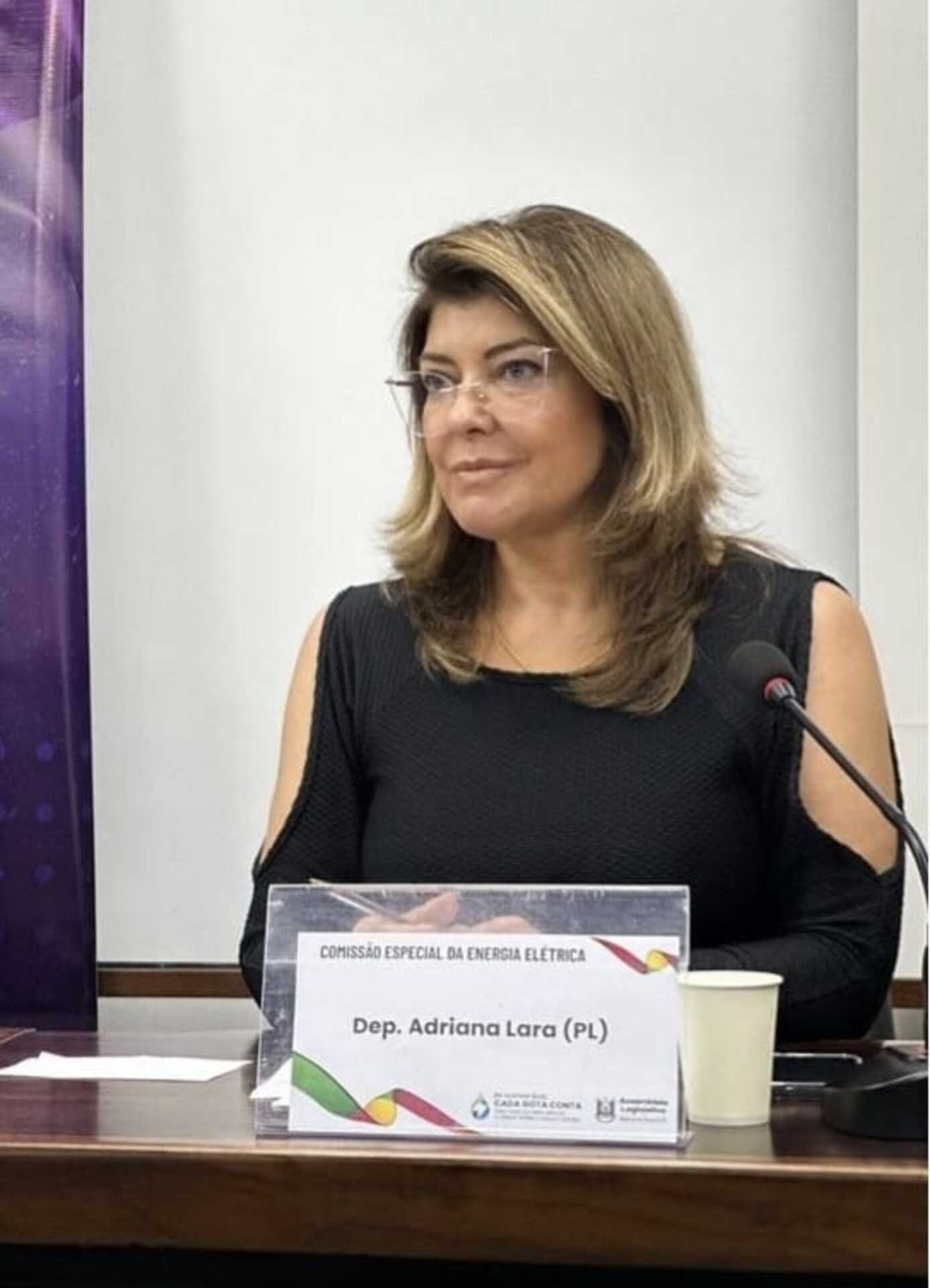 OAB Barro Preto - Adriana Lara lança Frente Parlamentar Contra a Pedofilia