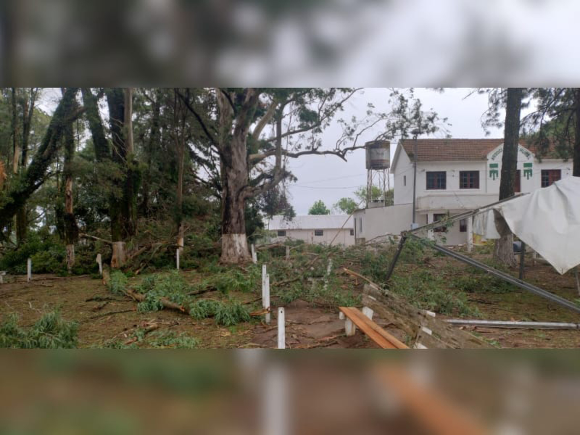 Parque Charrua foi um dos locais afetados