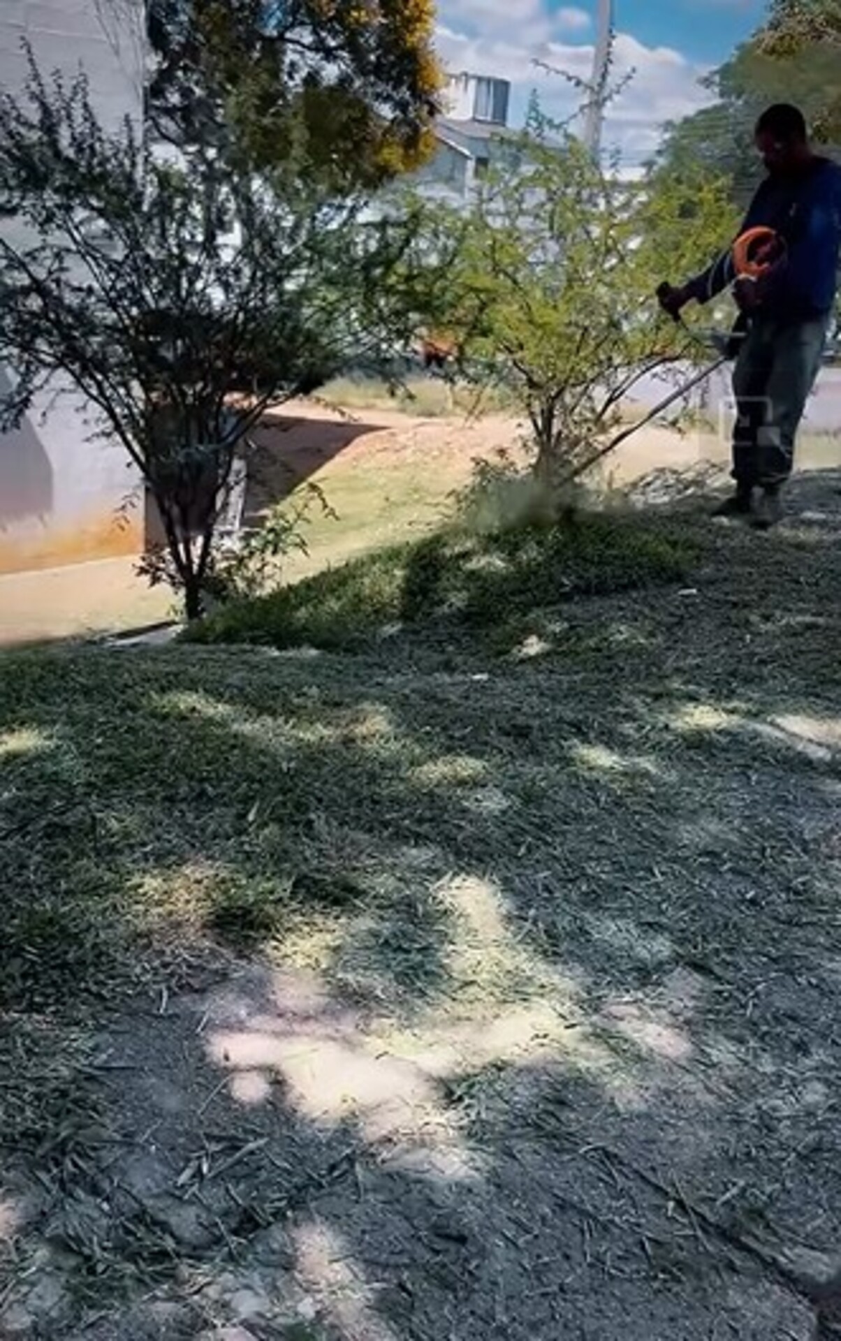 OAB Barro Preto - Revitalização