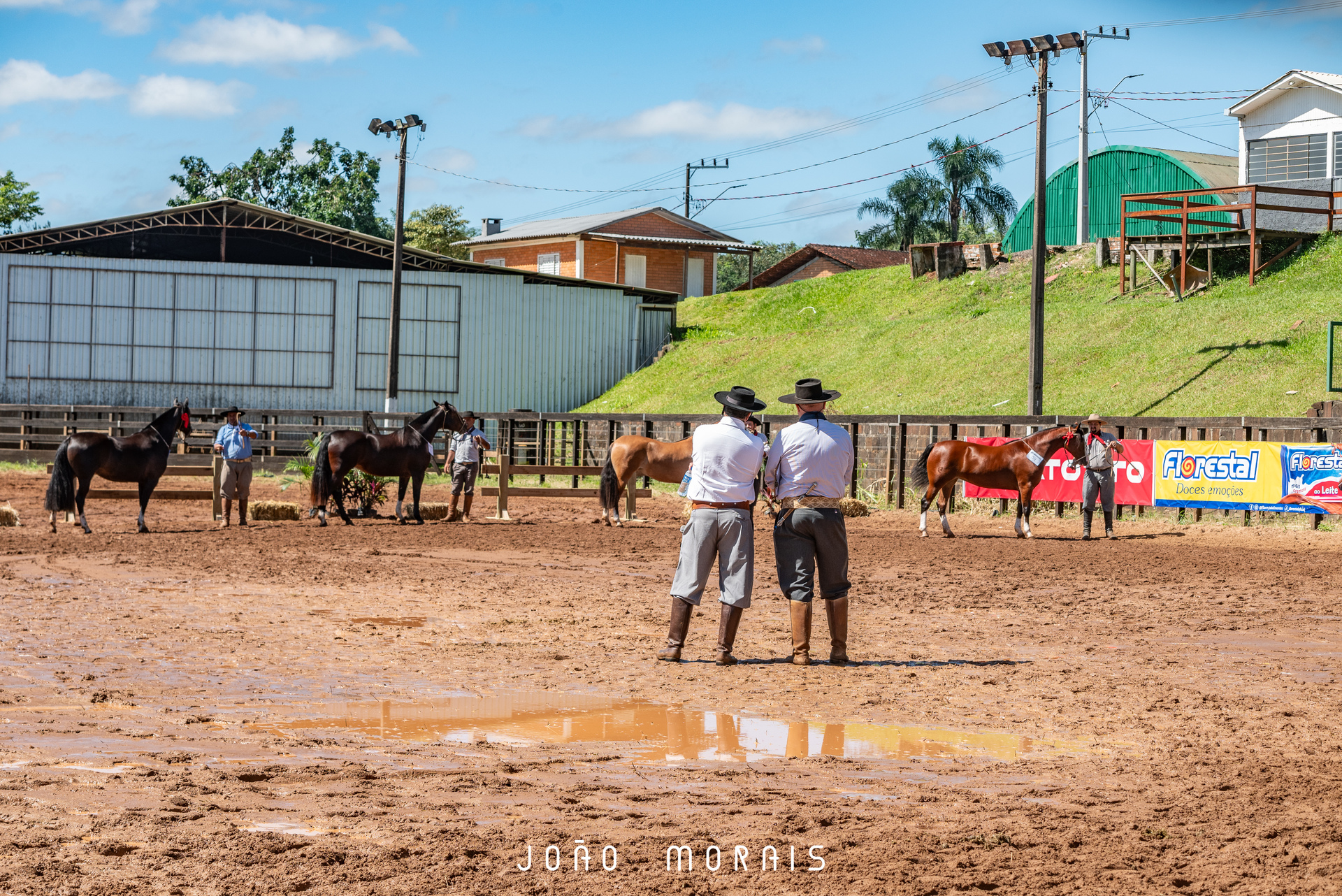 OAB Barro Preto - Cavalo Crioulo terá Passaporte em Candiota