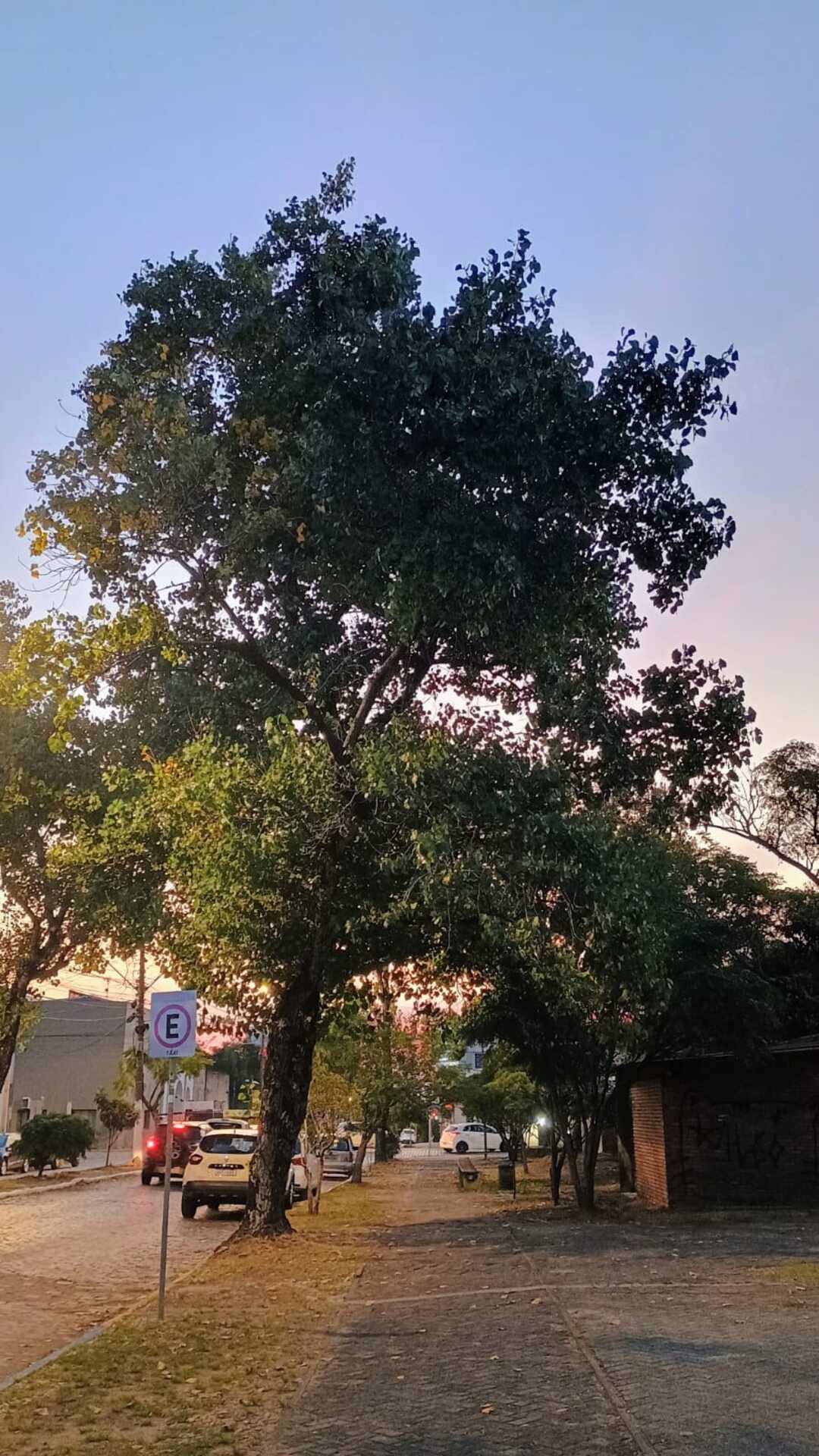 Região terá predomínio do sol nos próximos dias