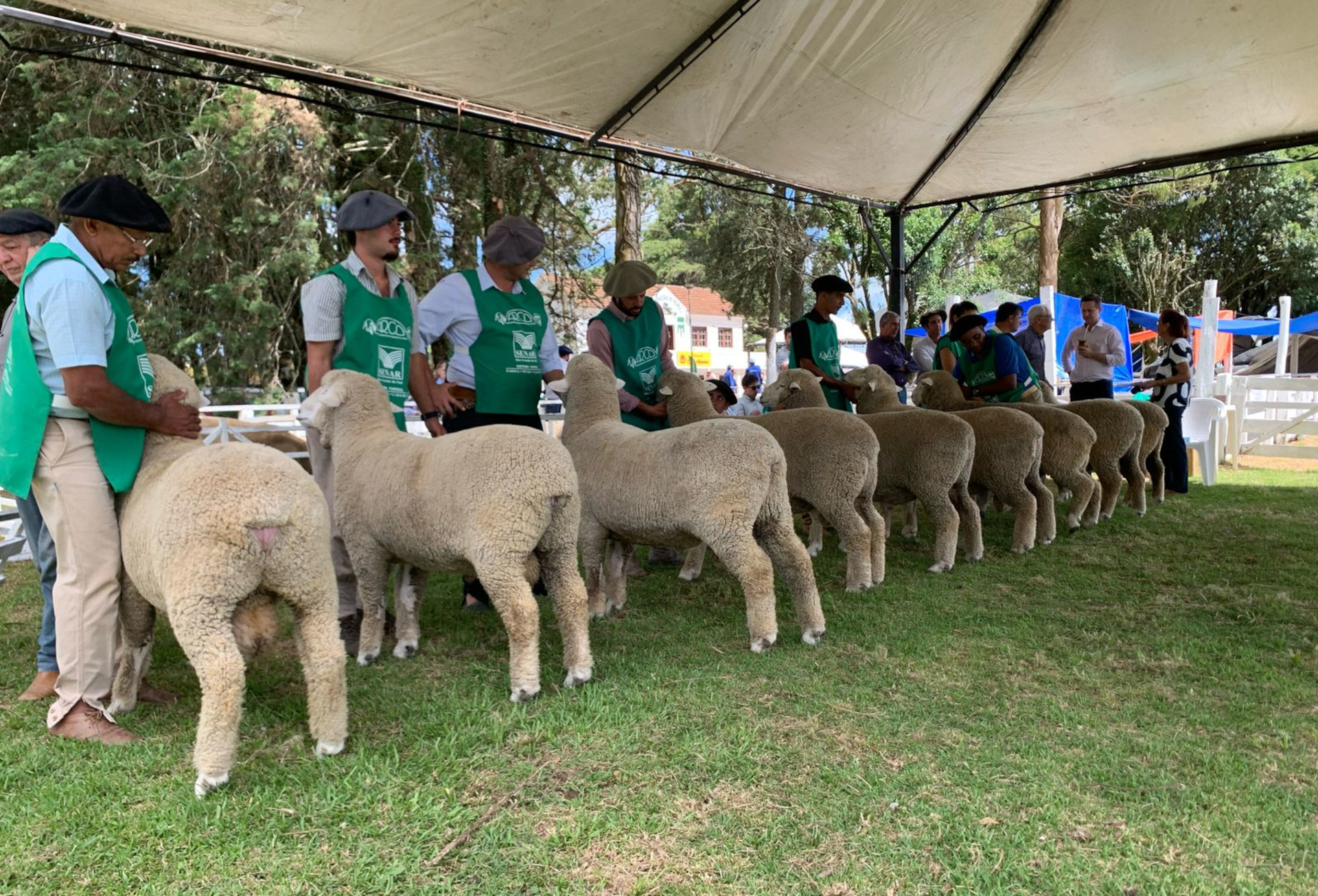 Criadores ampliam mercados durante circuito de mostras