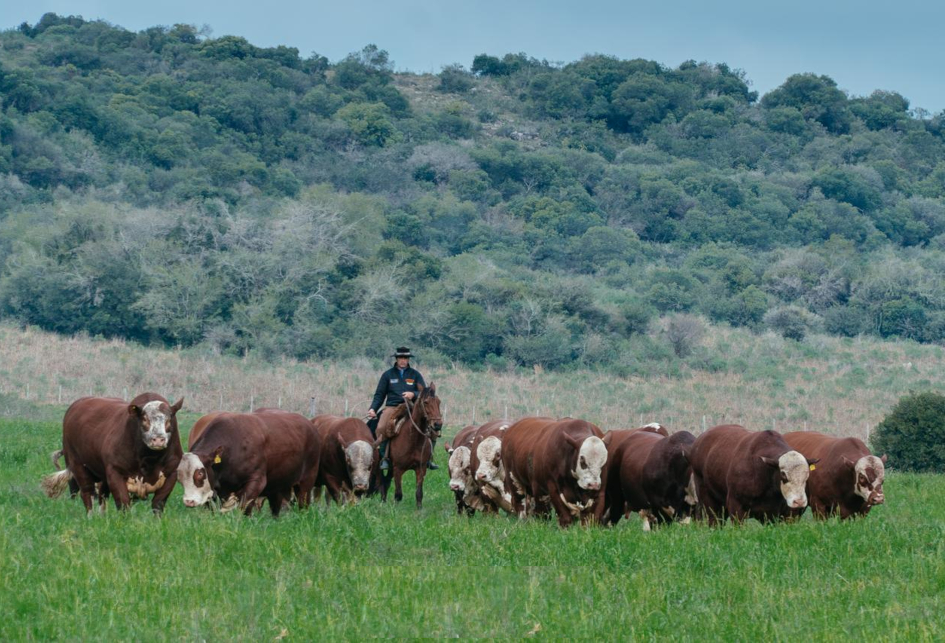 Haverá, na visita, discussões sobre manejo