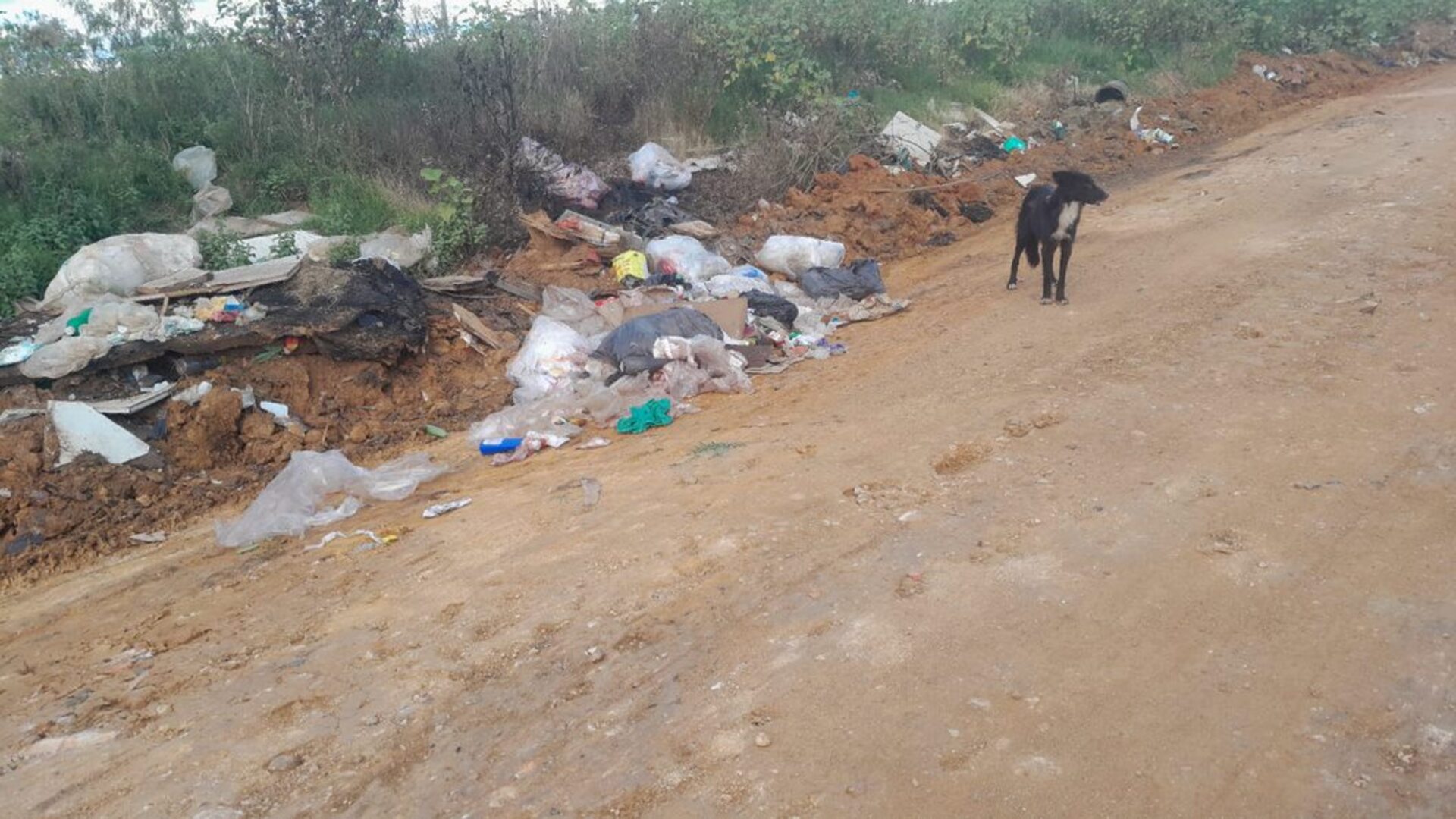 Ideia é realizar novos mutirões e apelo é para colaboração da comunidade