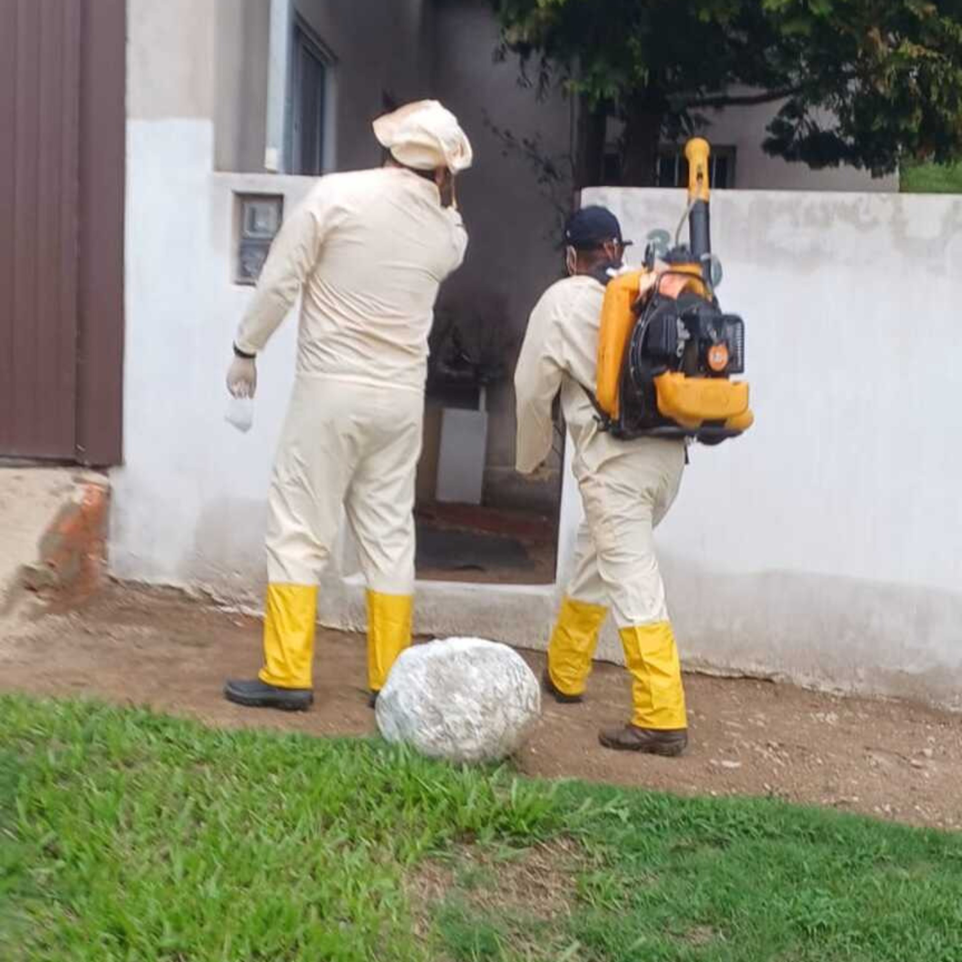 OAB Barro Preto - Bagé registra cinco casos confirmados de dengue