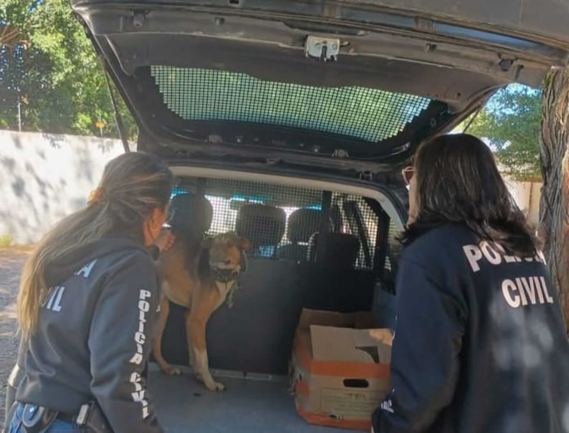 OAB Barro Preto - Casal é preso em flagrante por maus-tratos a animais