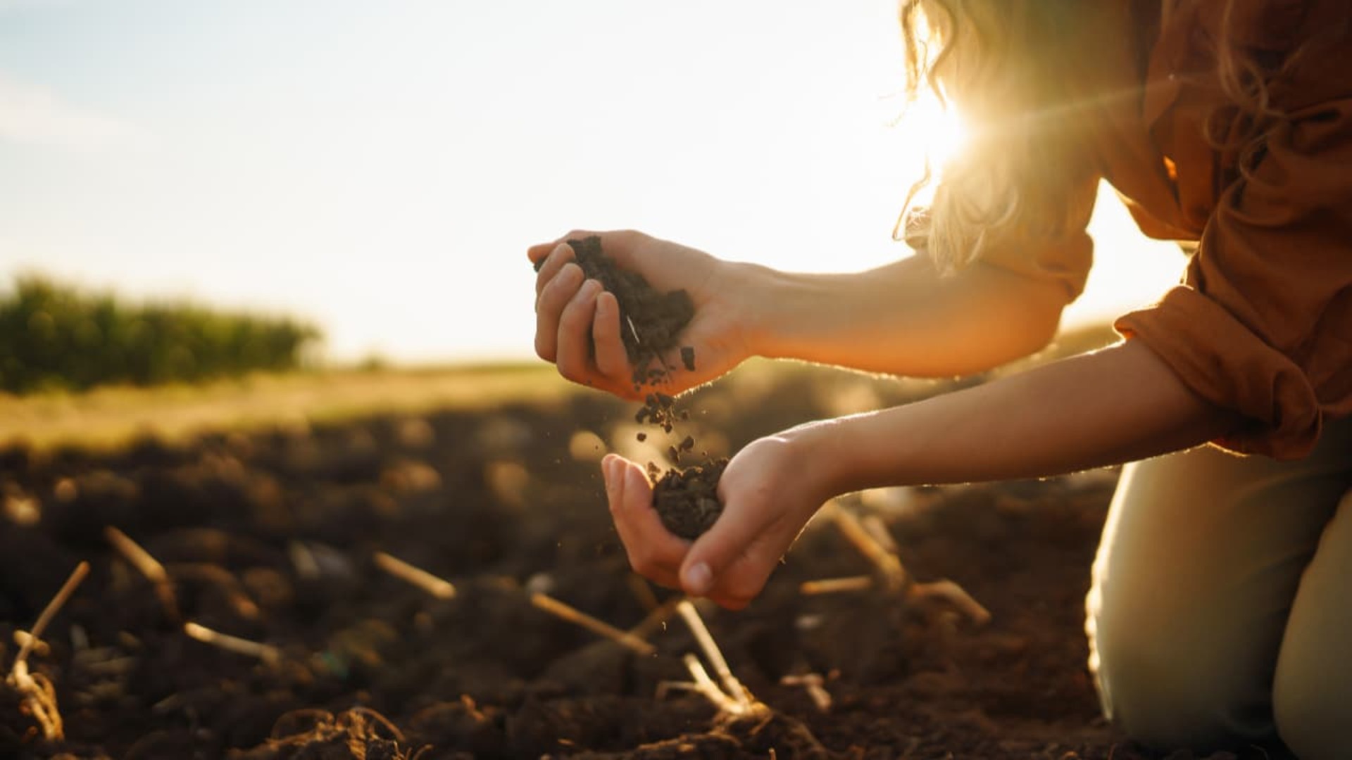 Programação é voltada para agricultores familiares, técnicos, estudantes