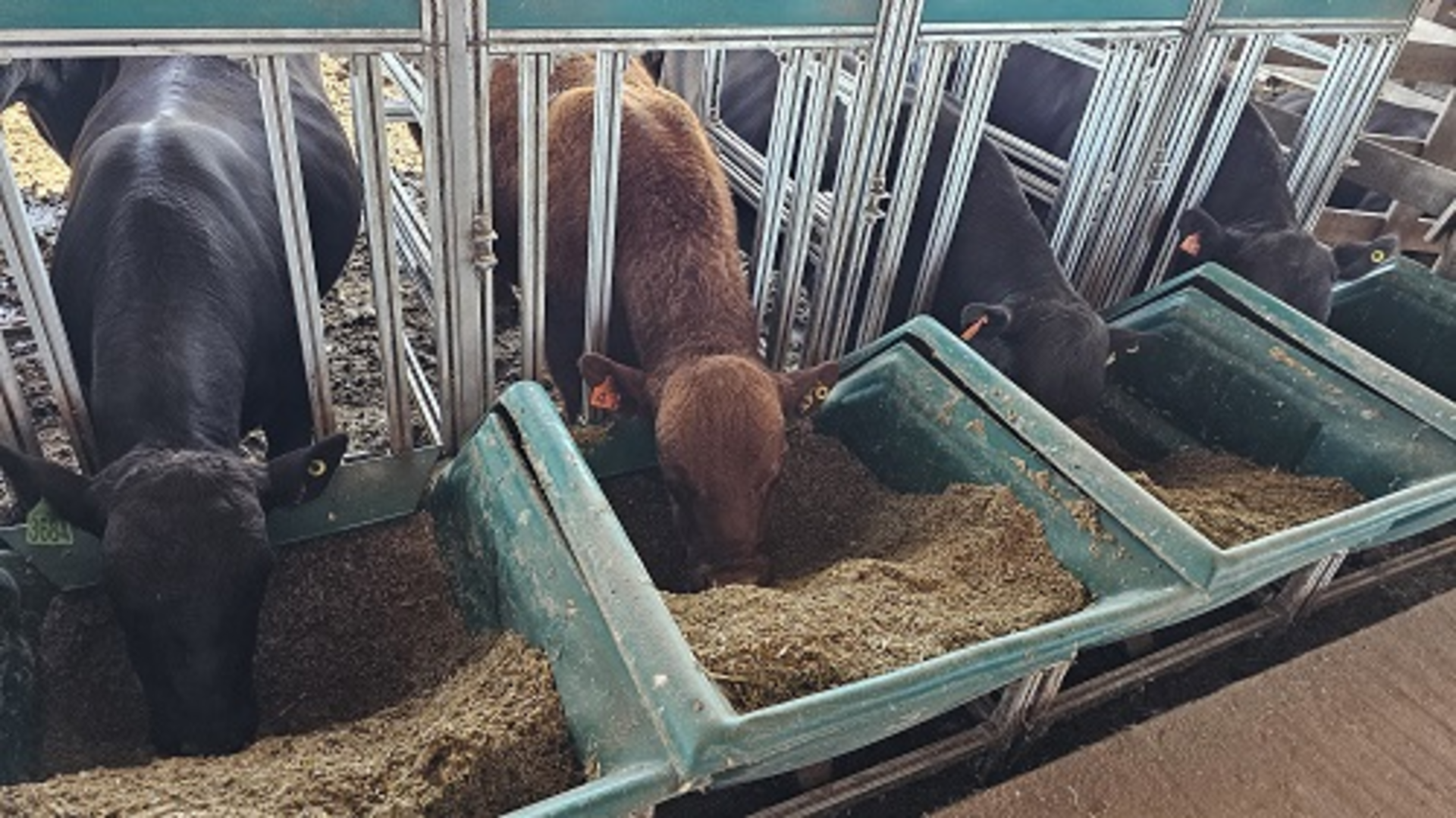 PEA foca na redução dos custos de produção
