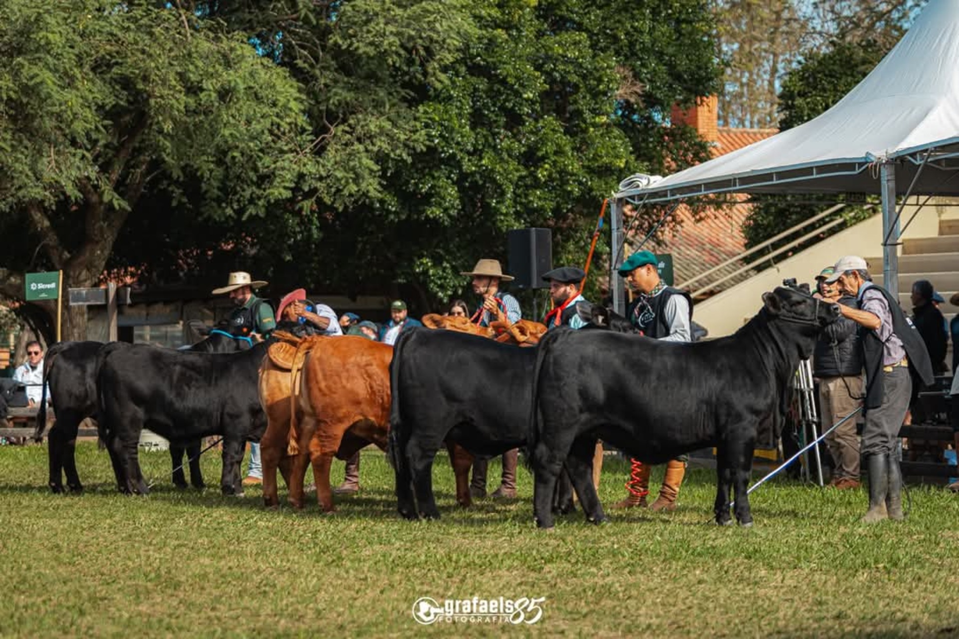 OAB Barro Preto - EXPOSIÇÃO