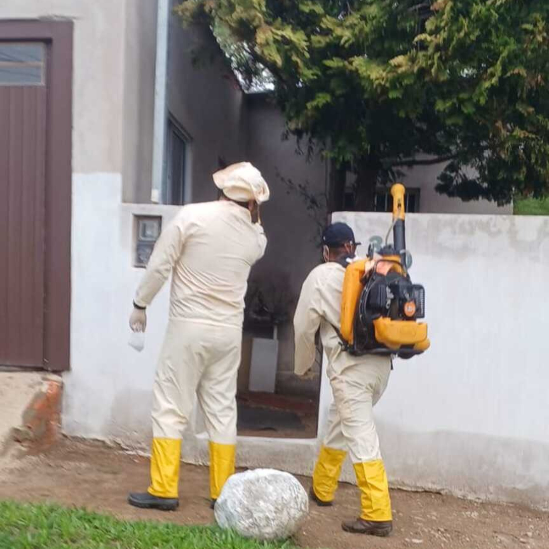 OAB Barro Preto - Bagé tem três casos confirmados de dengue